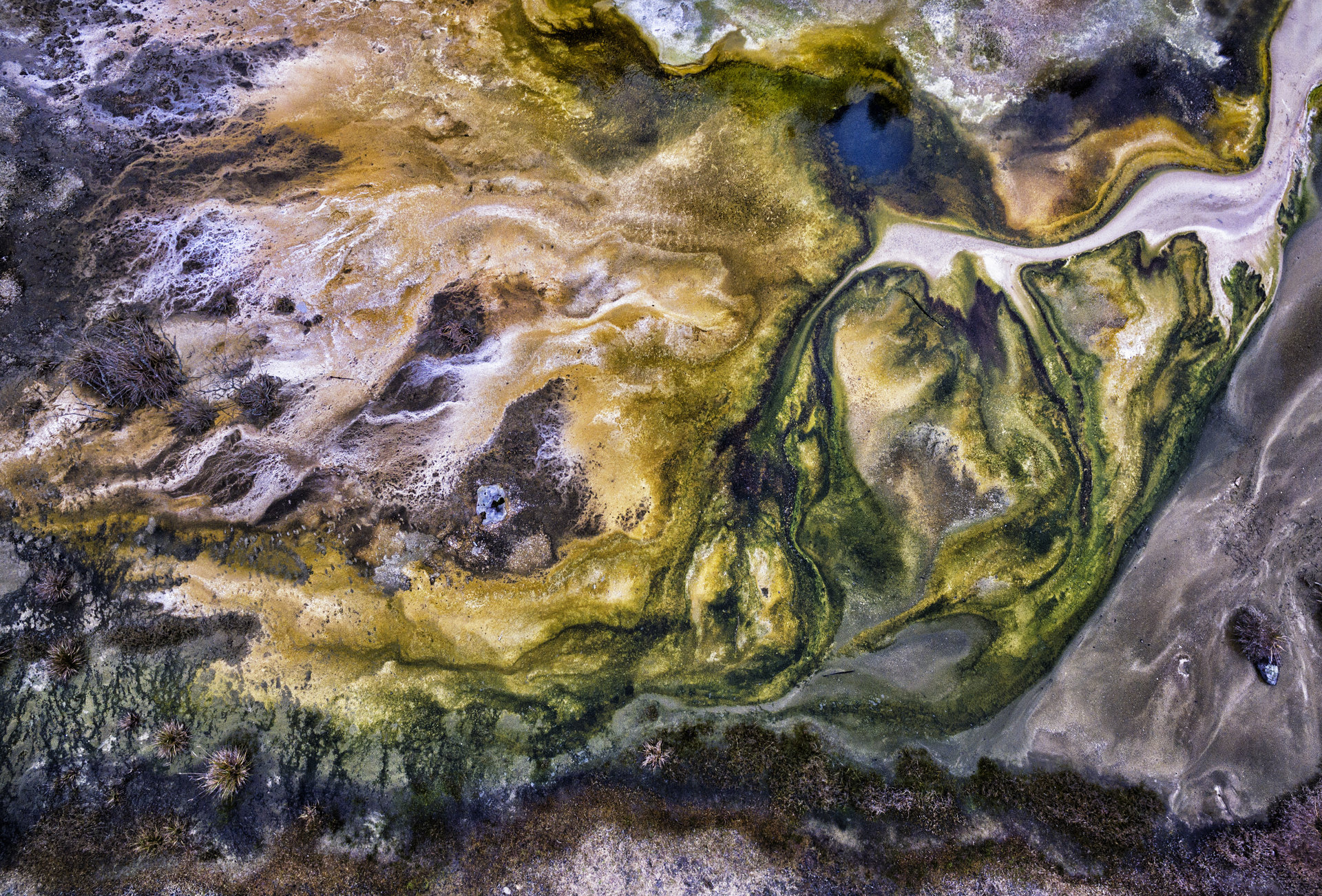 Algae and geo-thermal landscape at the Volcanic Valley near Rororua, New Zealand.