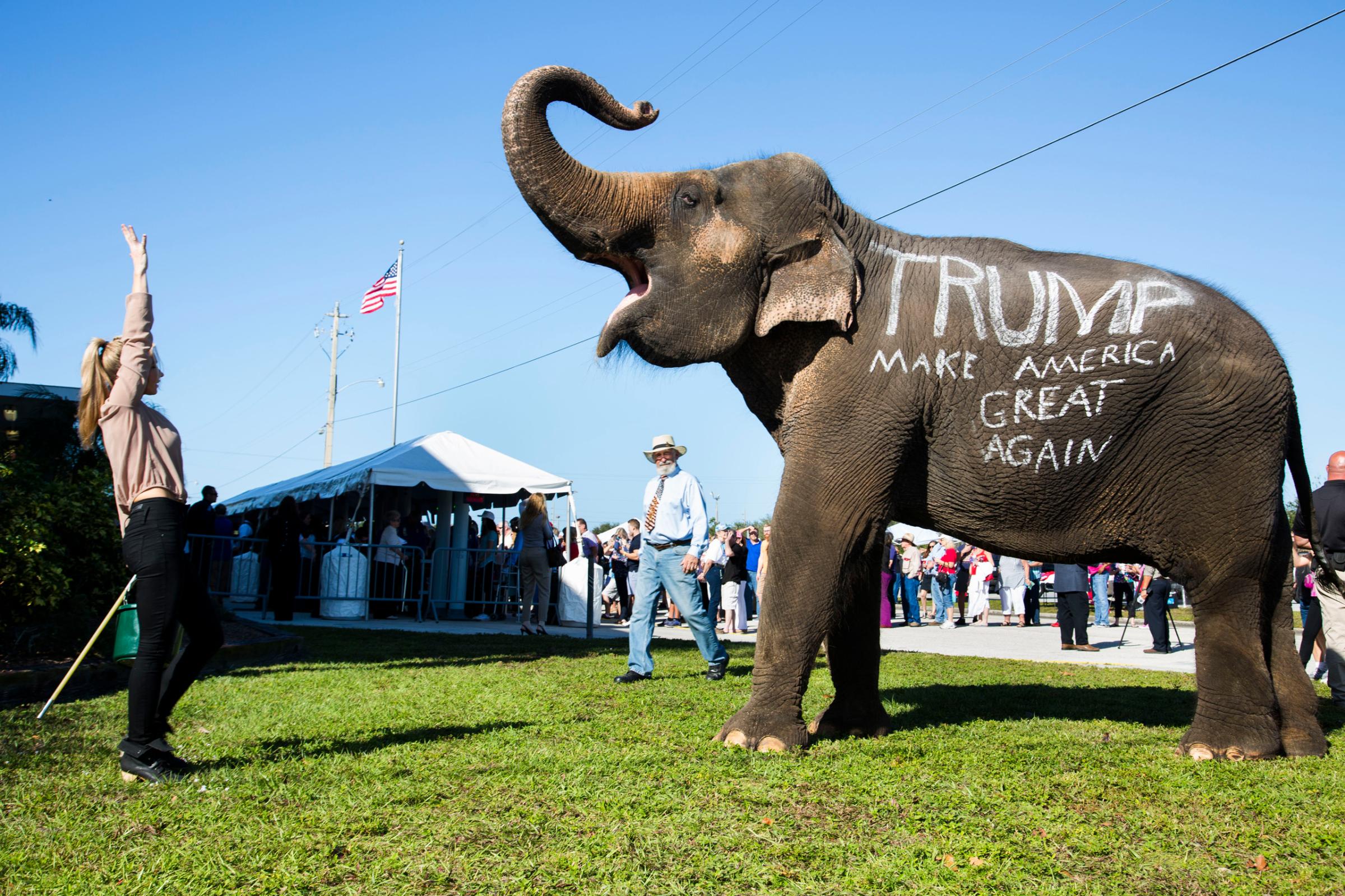Donald Trump supporters parade an elephant in front of a rally in Sarasota, Fla. Nov. 28, 2015.