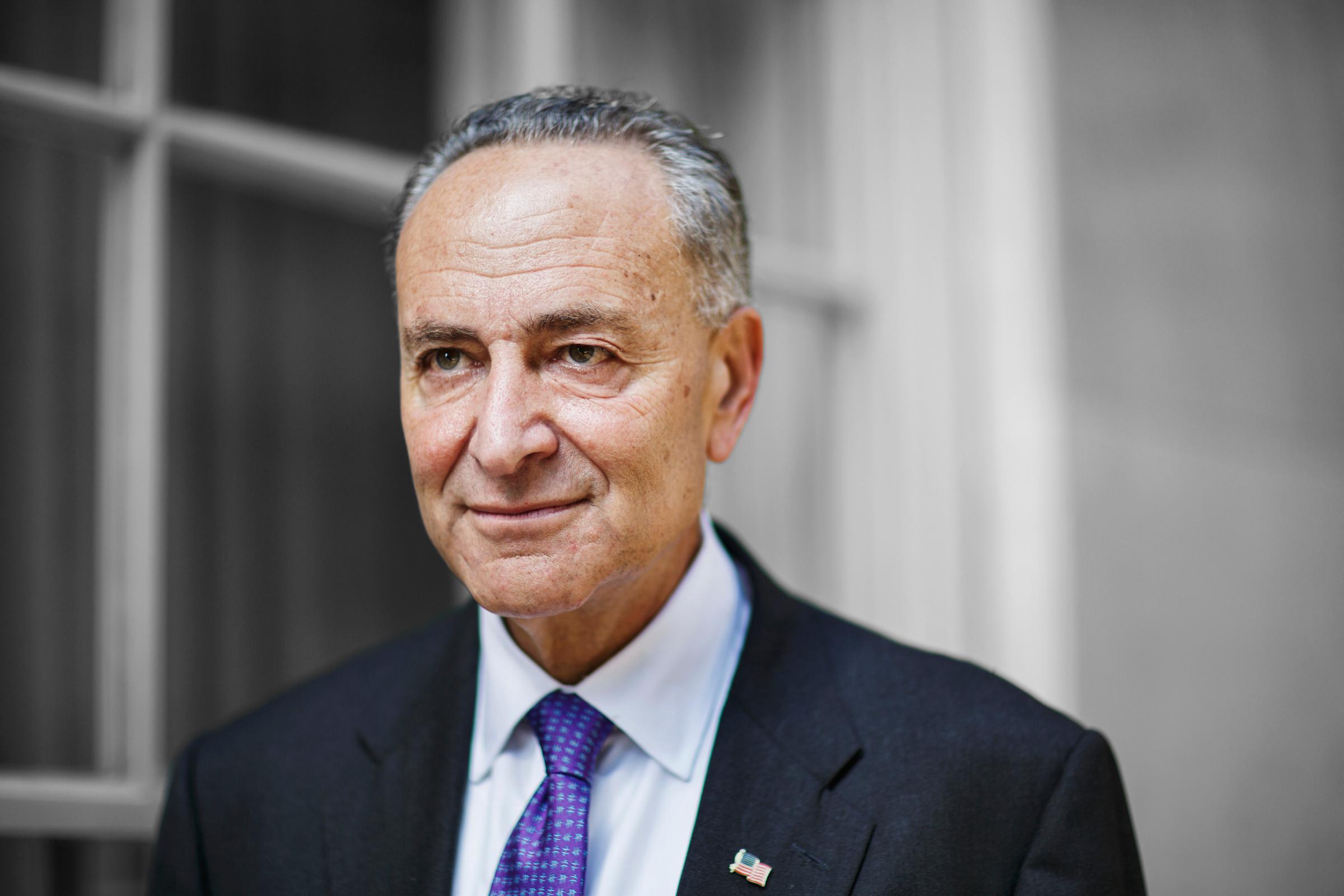 Chuck Schumer When Senate Minority Leader Harry Reid steps down next year, the New York Democrat is his likely successor. His first order of business will be helping change that job title to Senate Majority Leader, but it's a tall order.
