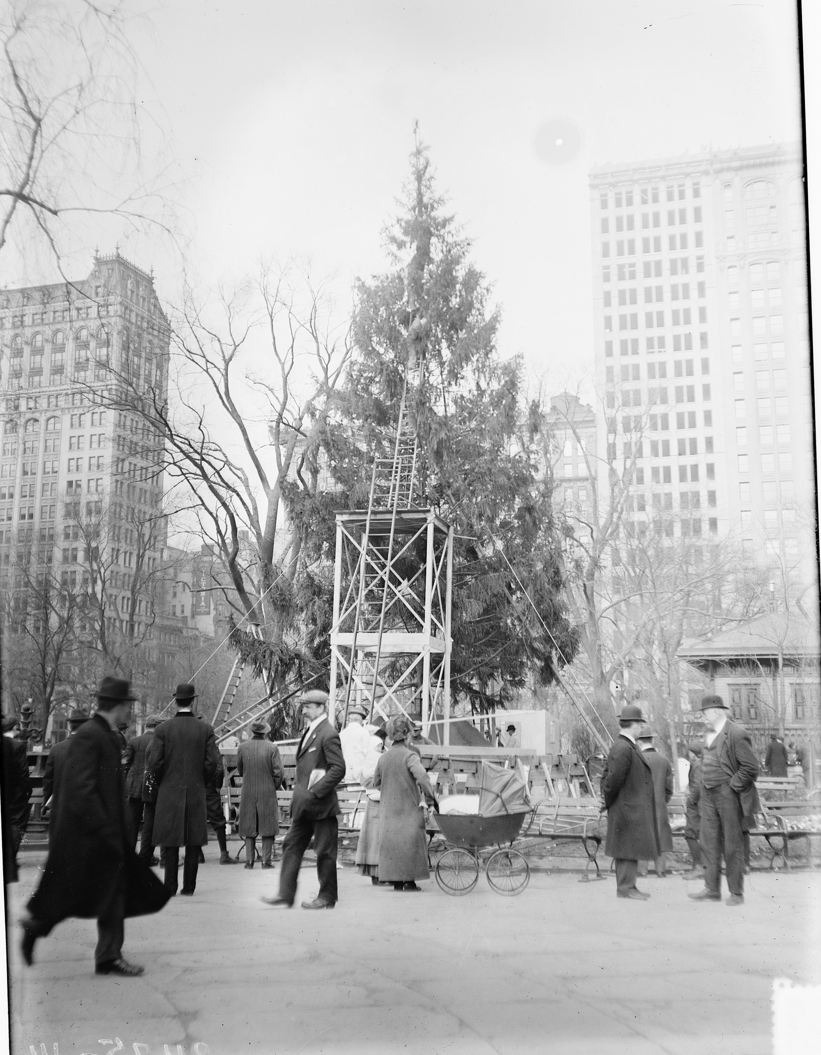 Christmas tree in Madison Square Park. New York, ca. 1910.