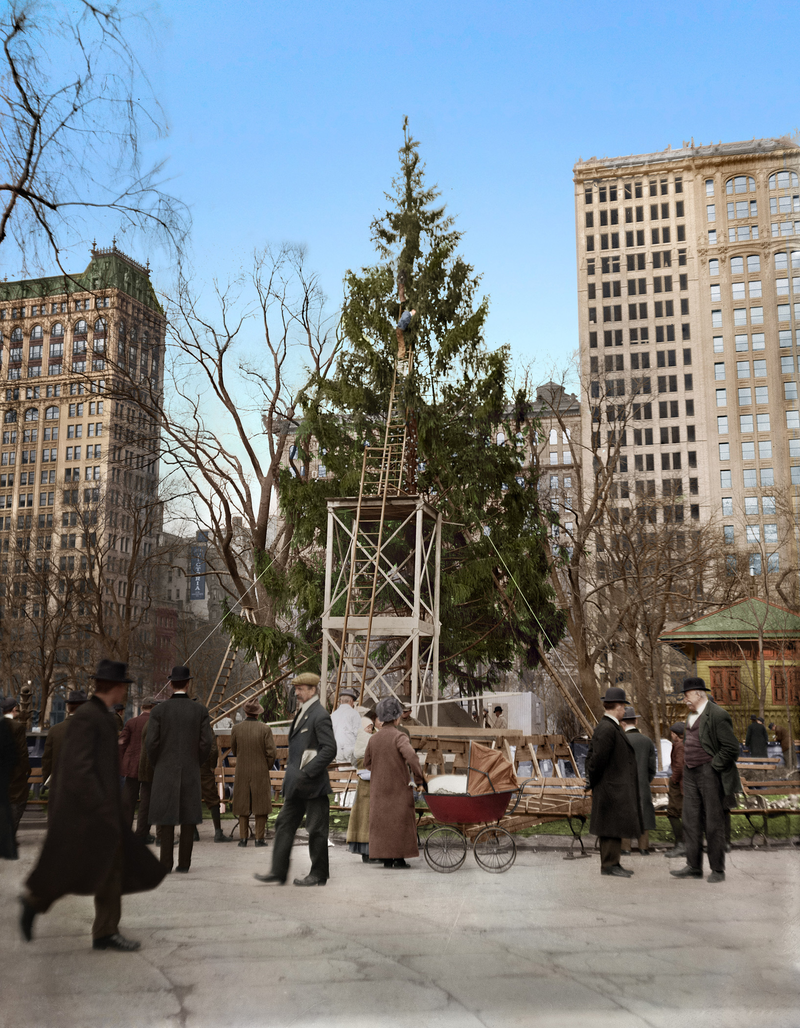 Christmas tree in Madison Square Park. New York, ca. 1910.