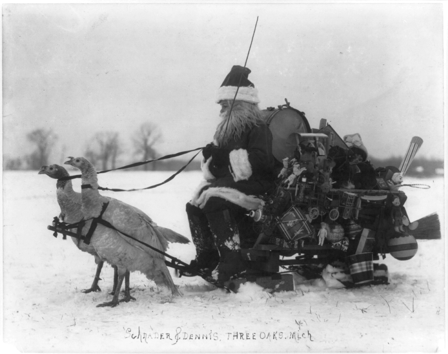 Santa Claus with Christmas toys on a sled drawn by white turkeys. 1909.