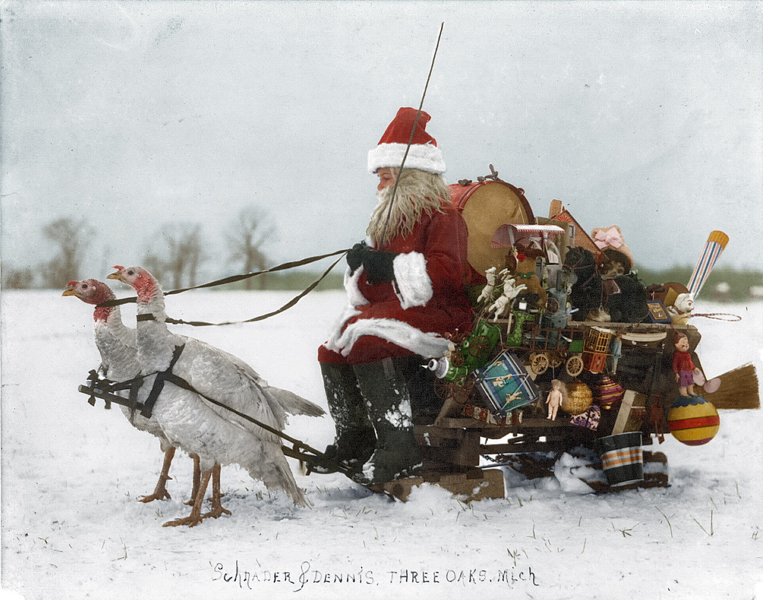 Santa Claus with Christmas toys on a sled drawn by white turkeys. 1909.