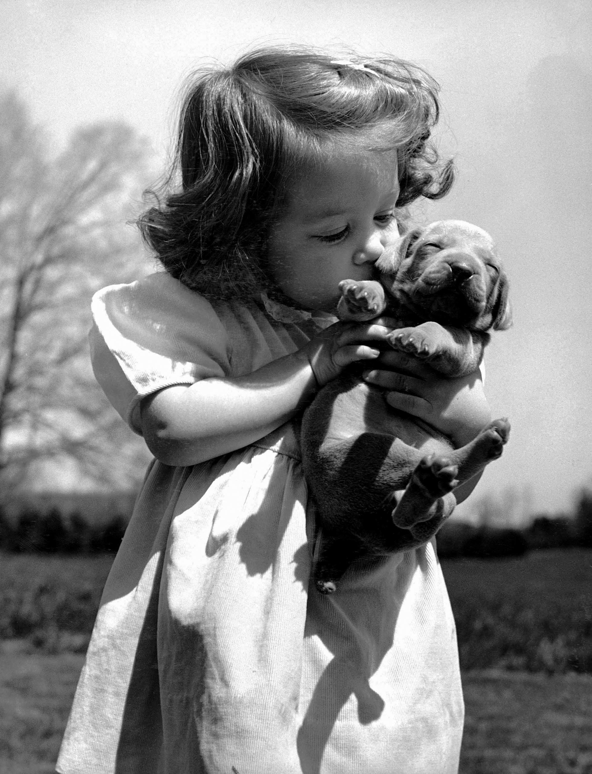 Christina Goldsmith embracing a Weimaraner puppy, which she took from a new litter of her father's stock, 1950.