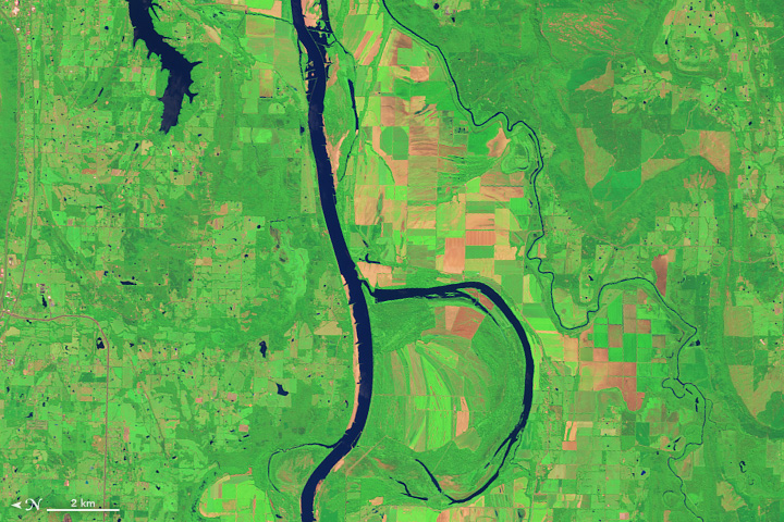 B: The Operational Land Imager (OLI) on Landsat 8 acquired this image of the Arkansas River and the Holla Bend Wildlife Refuge on Aug. 4, 2014.