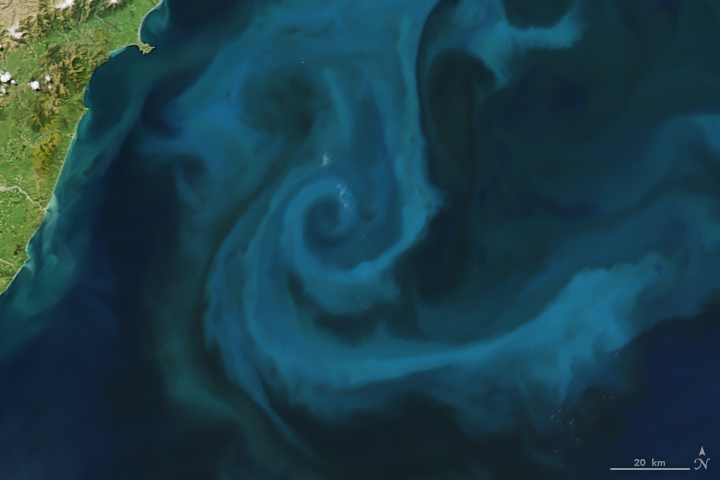 The Moderate Resolution Imaging Spectroradiometer (MODIS) on NASA’s Aqua satellite captured this image of a phytoplankton bloom off the coast of New Zealand on Oct. 25, 2009.