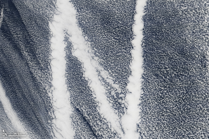 The Moderate Resolution Imaging Spectroradiometer (MODIS) on the Terra satellite captured this image of ship tracks over the Pacific on March 4, 2009. Ship emissions contain small particles that cause the clouds to form.