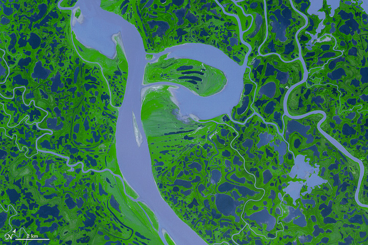 The Advanced Spaceborne Thermal Emission and Reflection Radiometer (ASTER) sensor on the Terra satellite captured this false-color image of the Mackenzie River Delta in Canada on August 4, 2005.