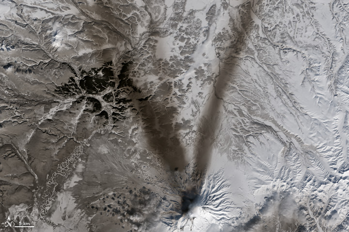 The Operational Land Imager (OLI) on Landsat 8 acquired this image of ash on the snow around Shiveluch—one of the largest and most active volcanoes on Russia’s Kamchatka Peninsula on March 23, 2015.