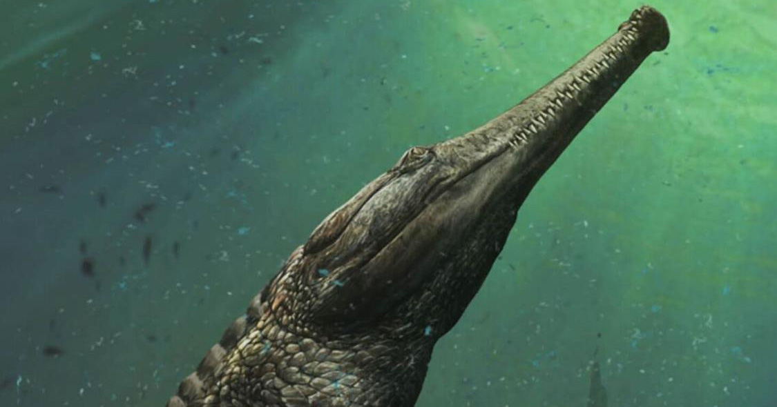 ancient-croc