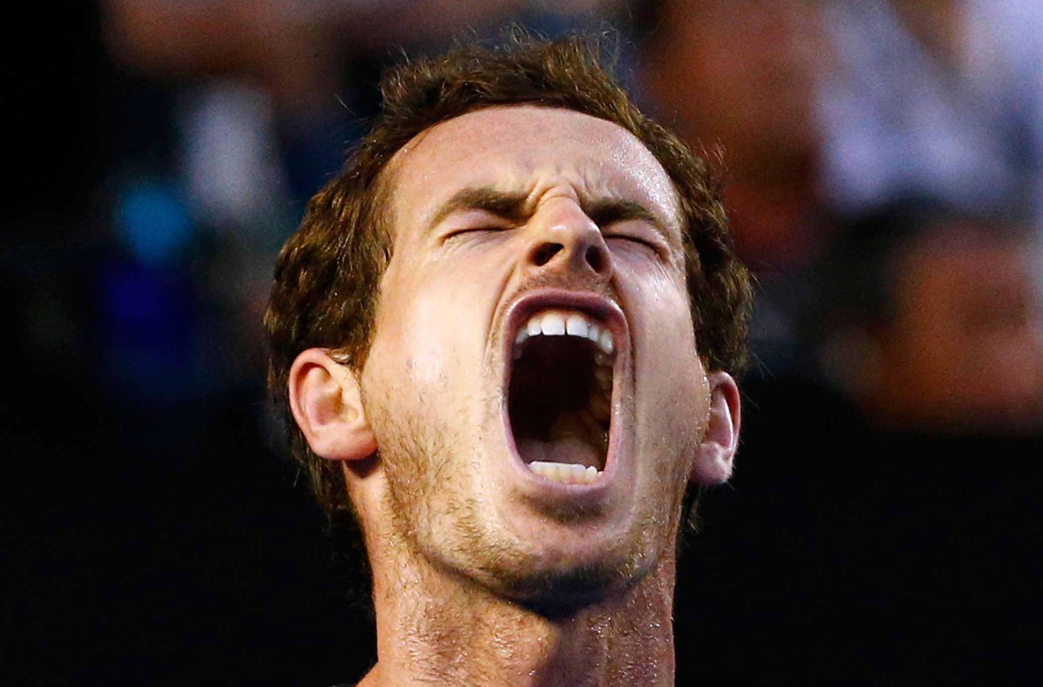 2016 Australian Open Britain's Murray reacts during his fourth round match against Australia's Tomic at the Australian Open tennis tournament at Melbourne Park