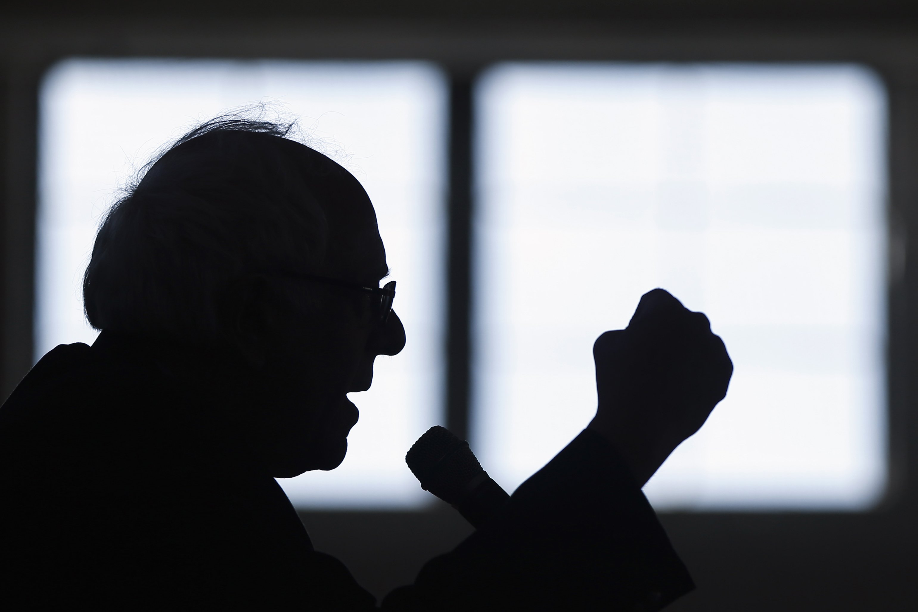 Bernie Sanders speaks during a campaign stop in Peterborough, NH on Jan. 21, 2016. (Matt Rourke—AP)