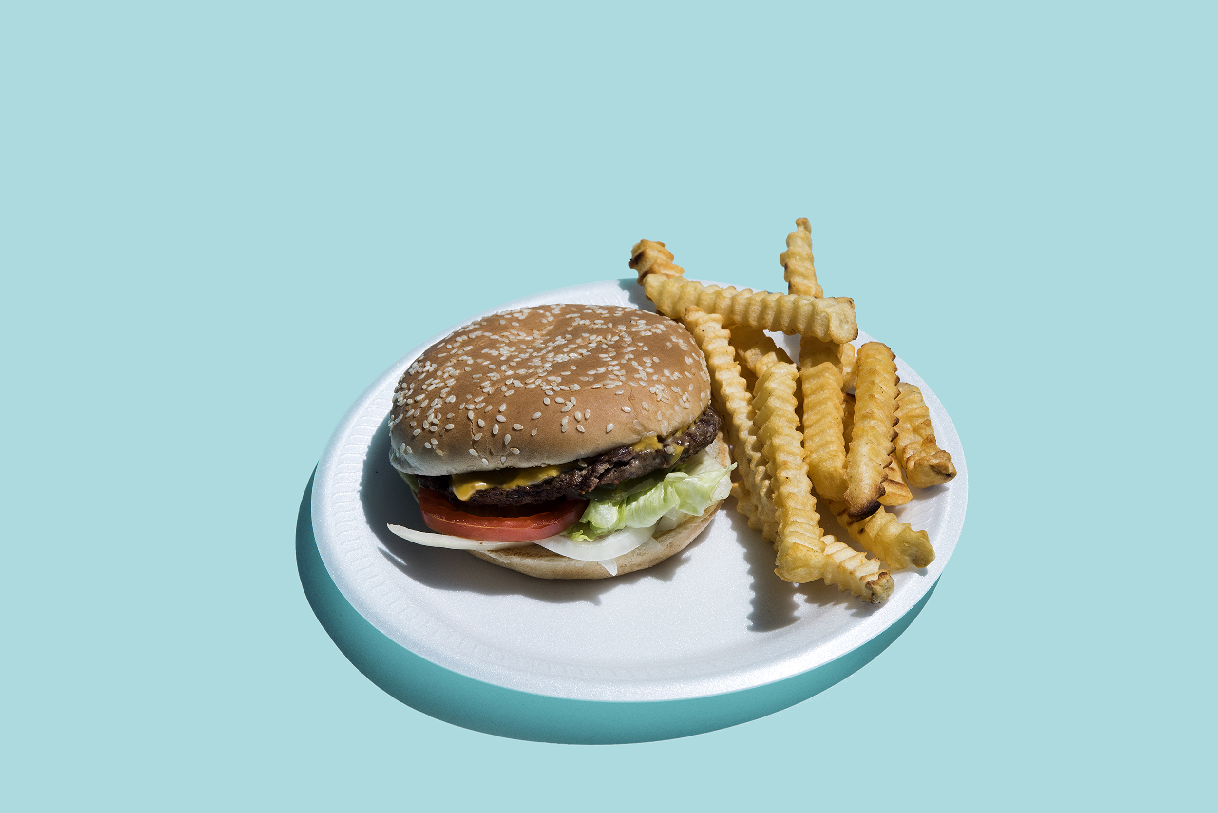 burger-fries-2-diet-junk-food-health-motto-stock