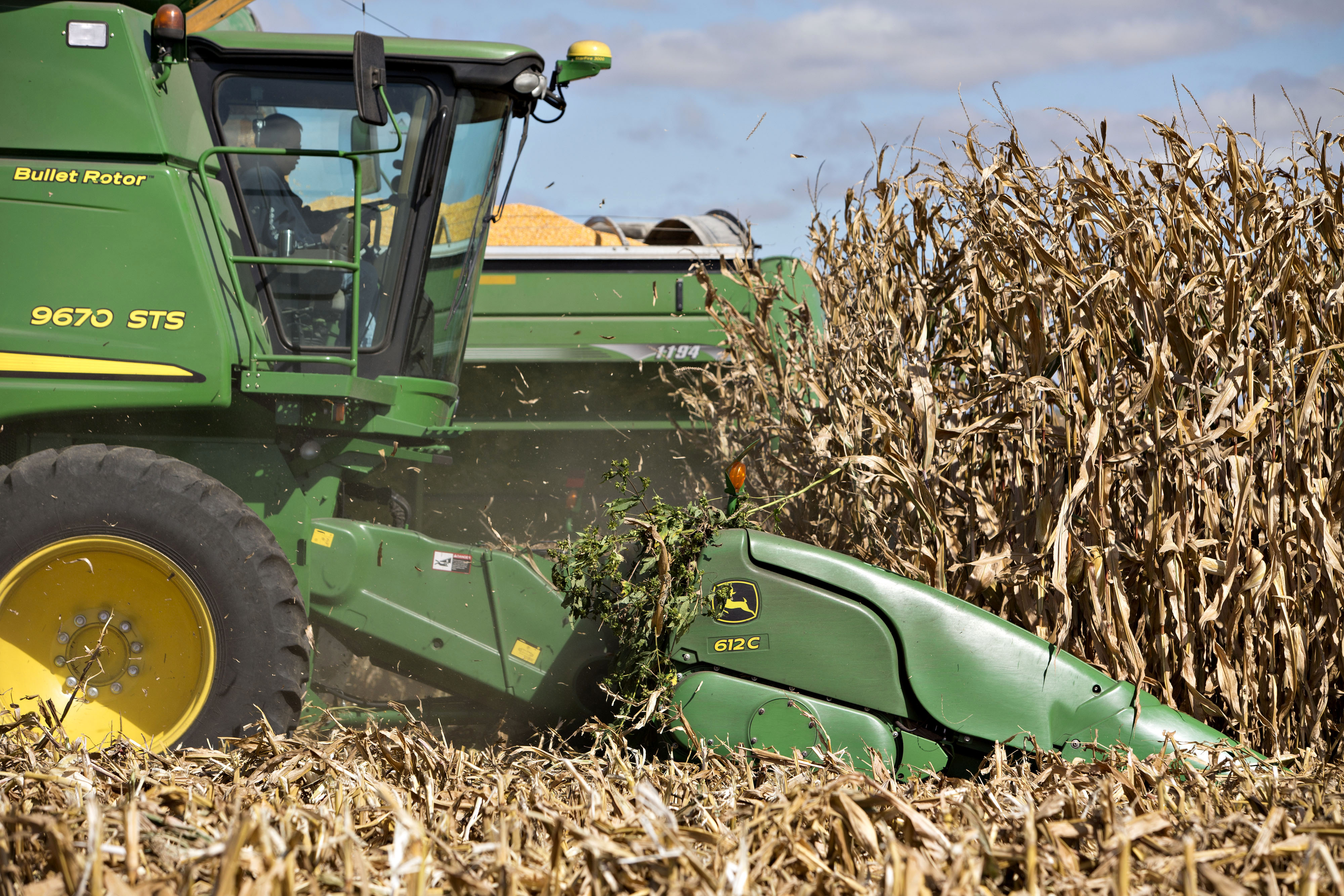 corn climate change crop production