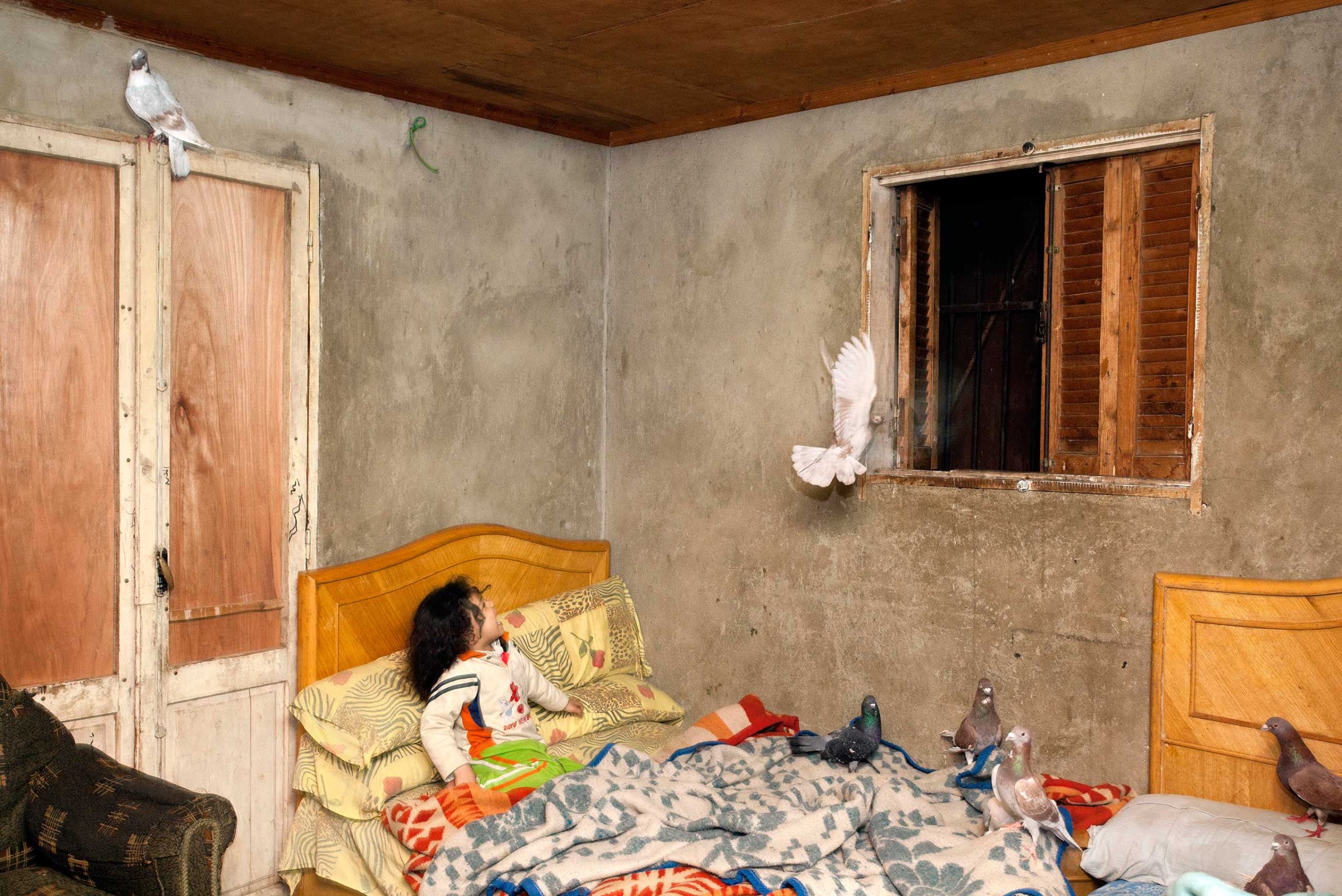 A young girl reacts to a pigeon flying around her room in Cairo, Egypt, March 2012.