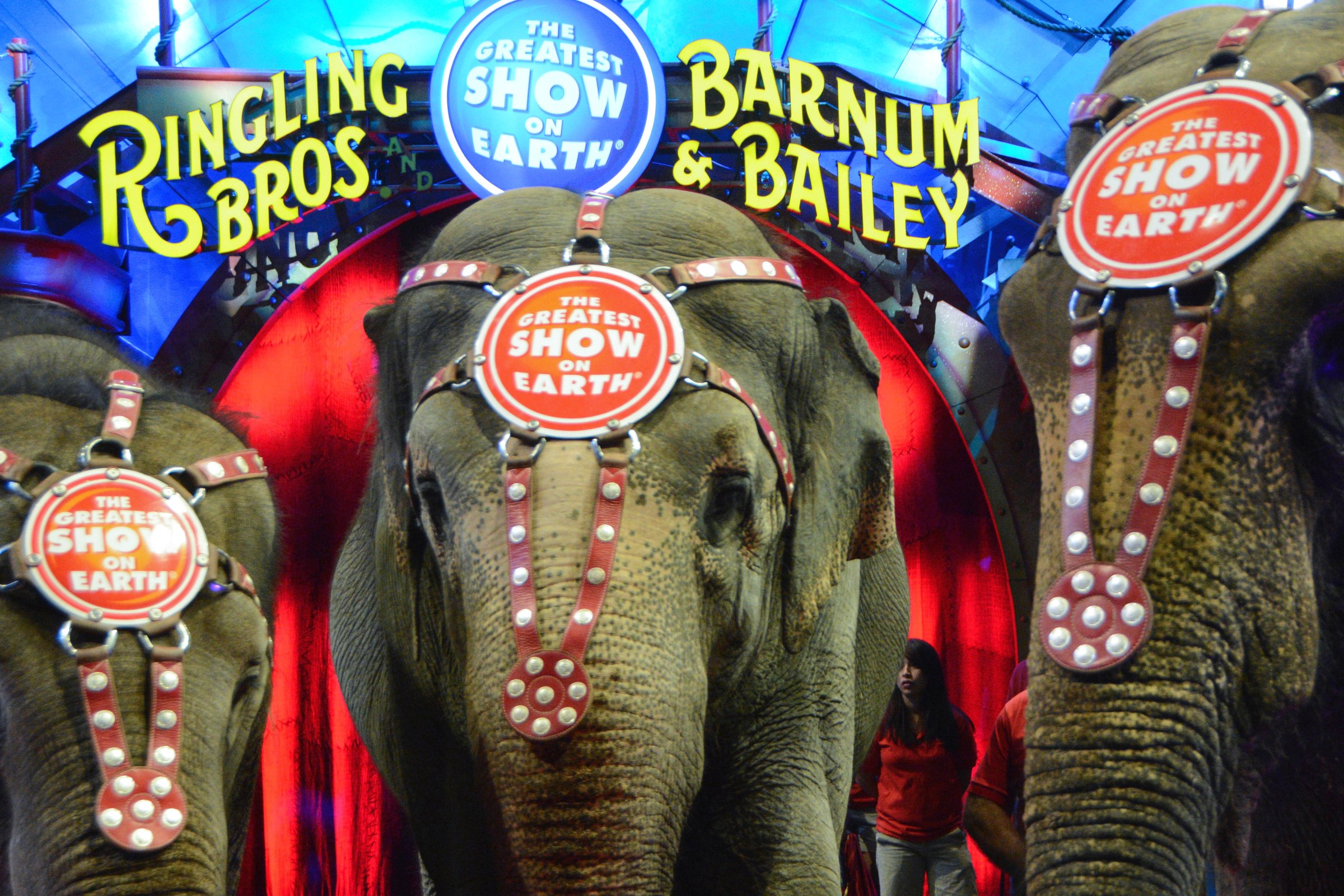 Ringling Bros. And Barnum &amp; Bailey Presents "Circus XTREME" VIP Celebrity Red Carpet Premiere