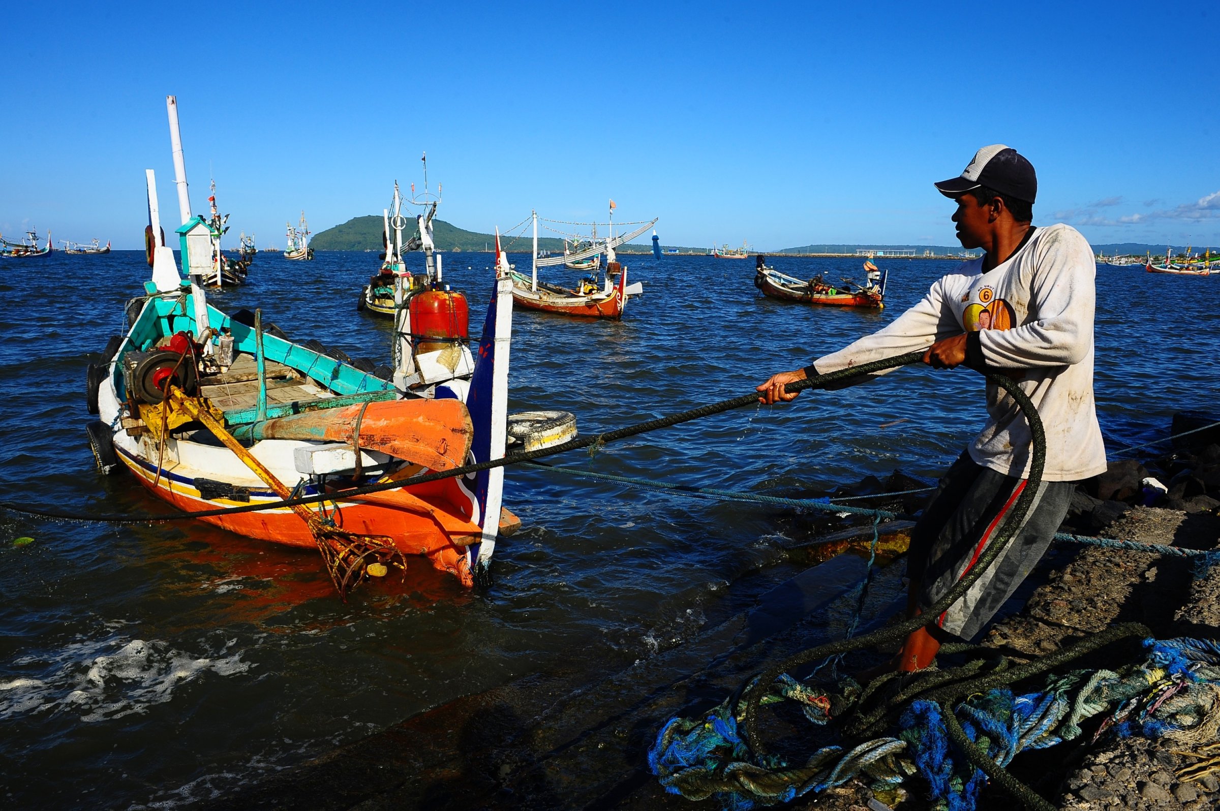 Indonesia's Controversial Shark Fin Trade