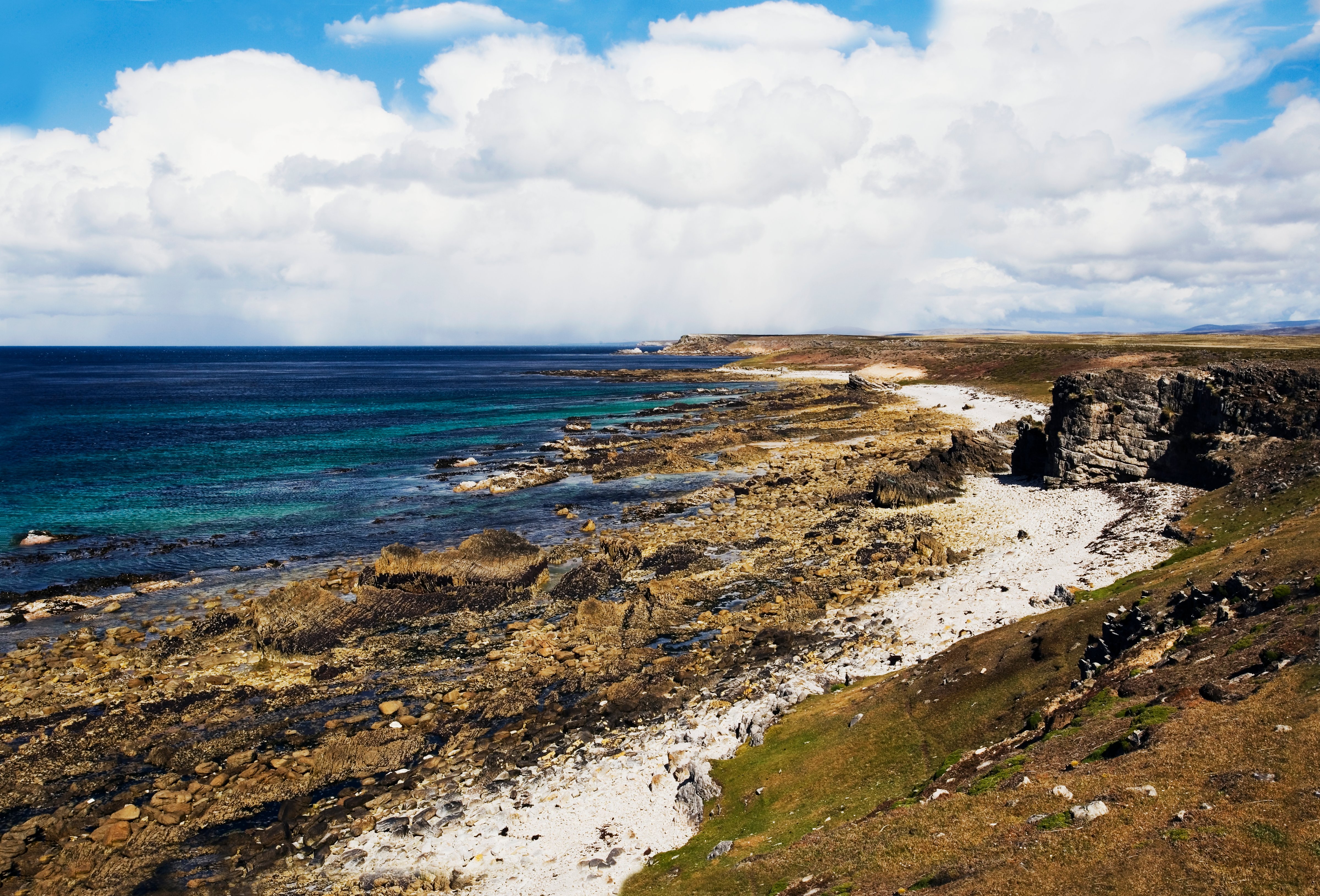 The northeast coast of Pebble Island, Falkland Islands, British Overseas Territory (Dea/R. Valterza—De Agostini/Getty Images)