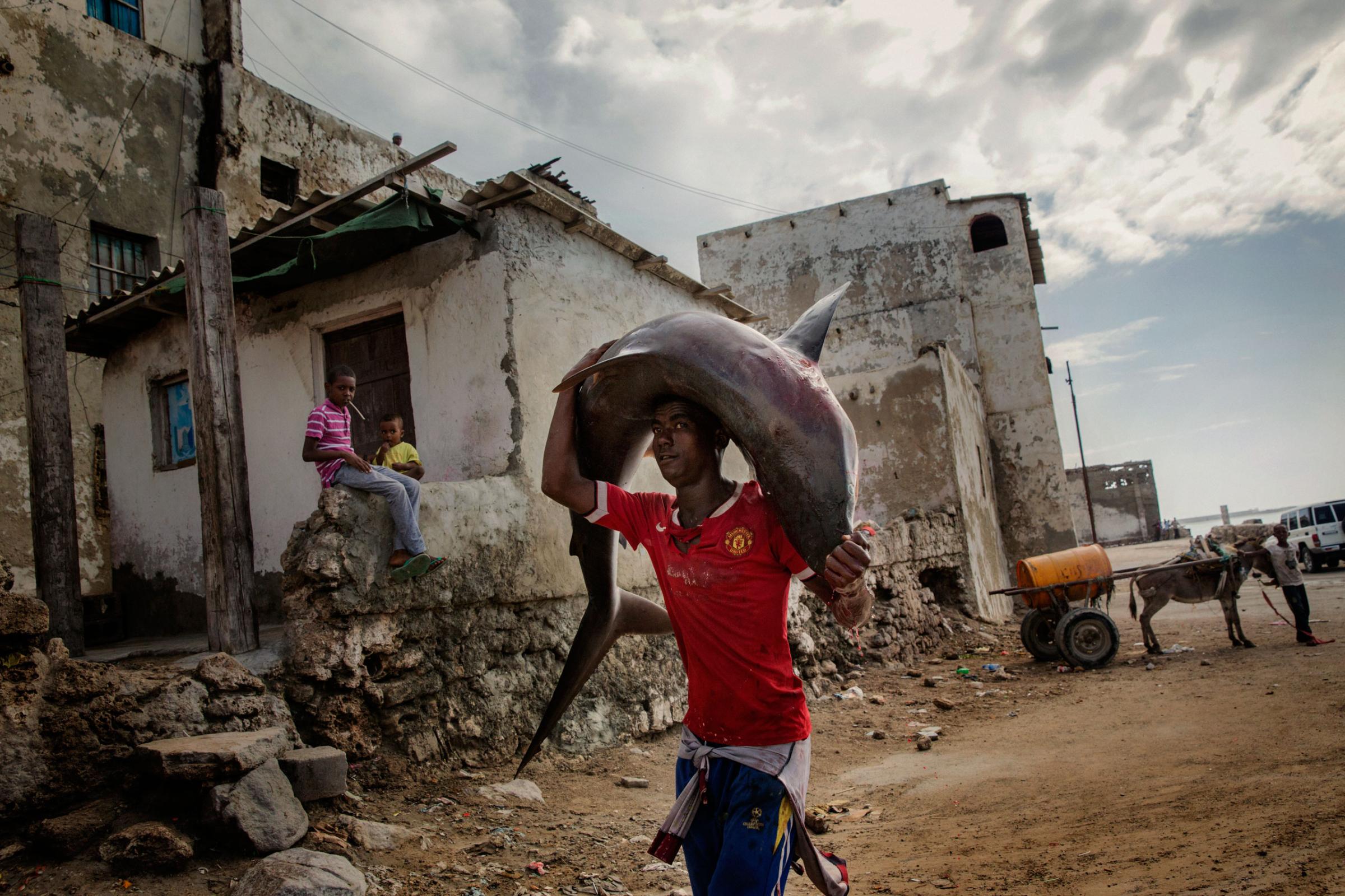 A man carries a shark on the streets of Mogadishu, Somalia. A recent escalation of plunders in Somali waters by foreign fishing vessels could mean the return of hijackings, locals fear. The country's waters have been exploited by illegal fisheries and the economic infrastructure that once provided jobs has been ravaged.