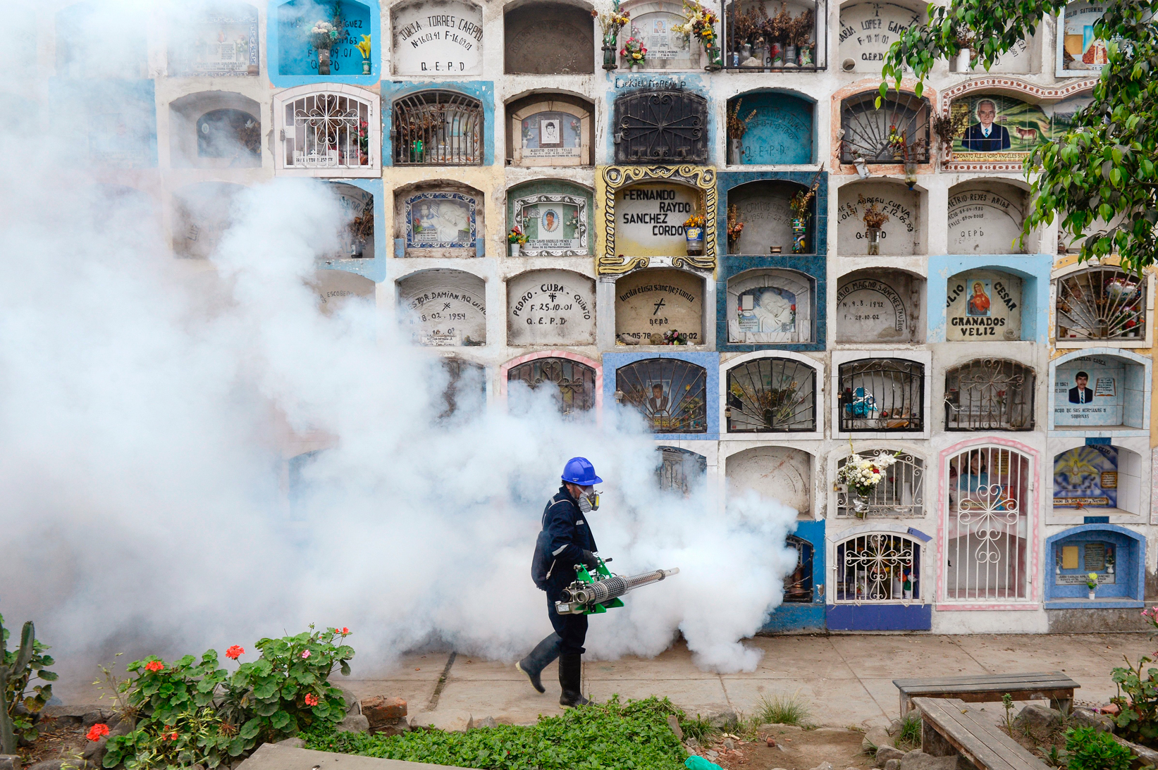 In an effort to stop the spread of Zika, a specialist fumigates a graveyard in Lima on Jan. 15