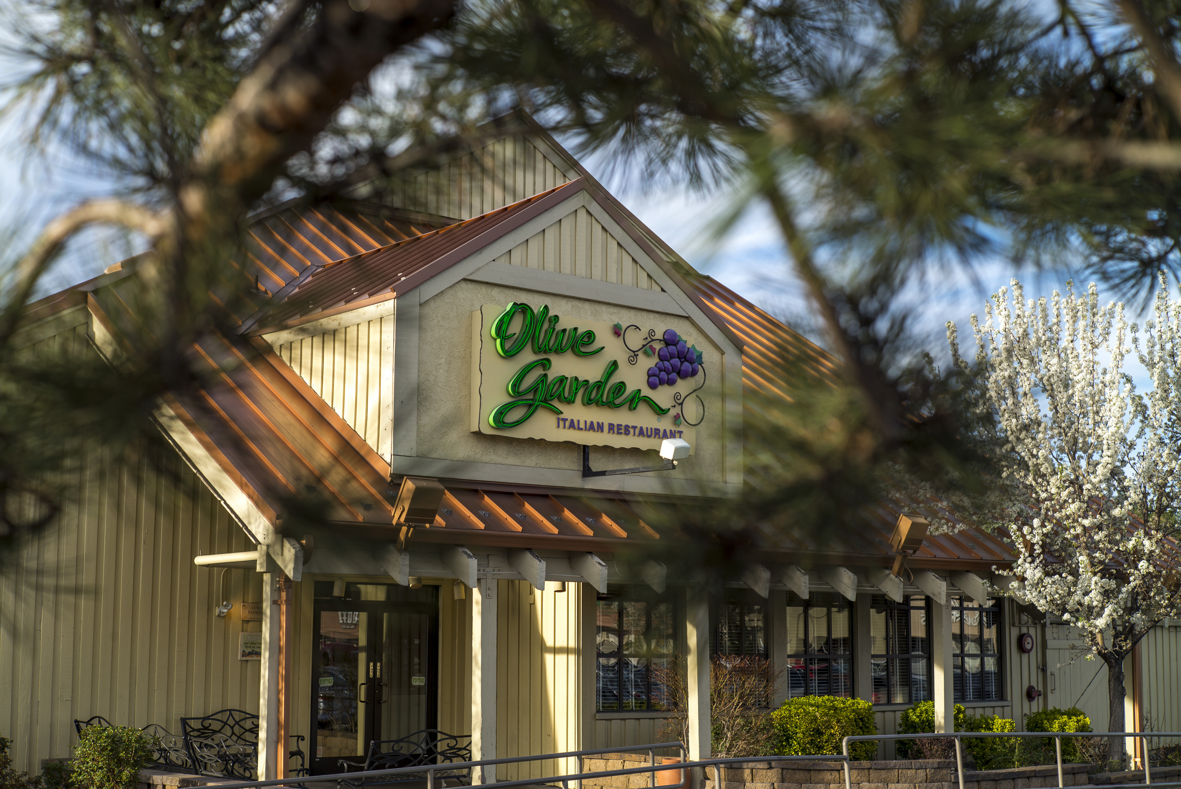 An Olive Garden in Reno, Nevada on March 19, 2015. (David Paul Morris—Bloomberg/Getty Images)