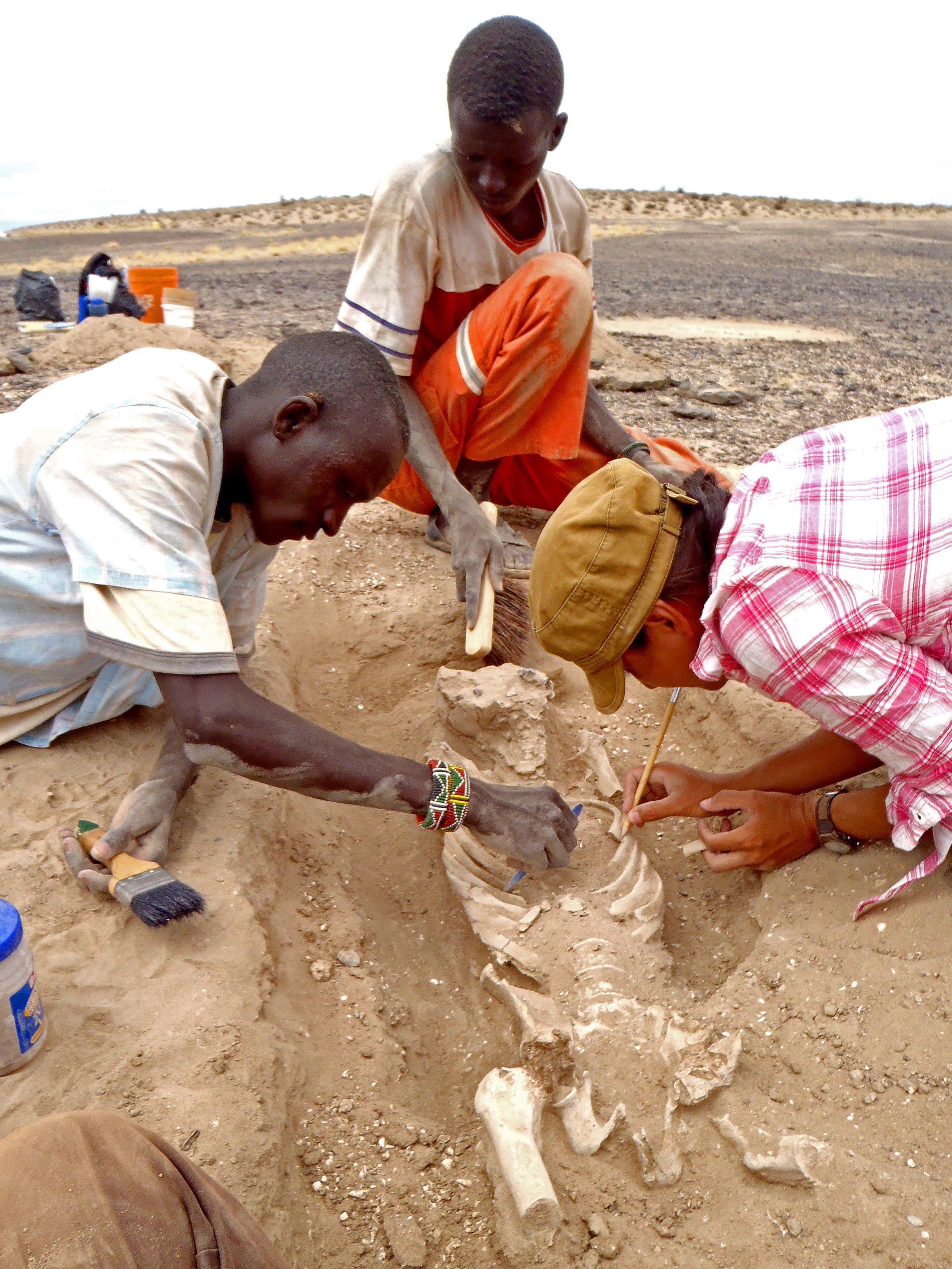 In this August 2012 photo provided by Marta Mirazon Lahr, researcher Frances Rivera, right, Michael Emsugut, left, and Tot Ekulukum excavate a human skeleton at the site of Nataruk, West Turkana, Kenya. This skeleton was that of a woman, found lying on her back, with lesions on her neck vertebrae consistent with a projectile wound. She also had multiple fractures on one of her hands. Writing in a paper released on Jan. 20, 2016, by the Nature Journal, scientists said it’s one of the clearest cases of violence between groups among prehistoric hunter-gatherers.
