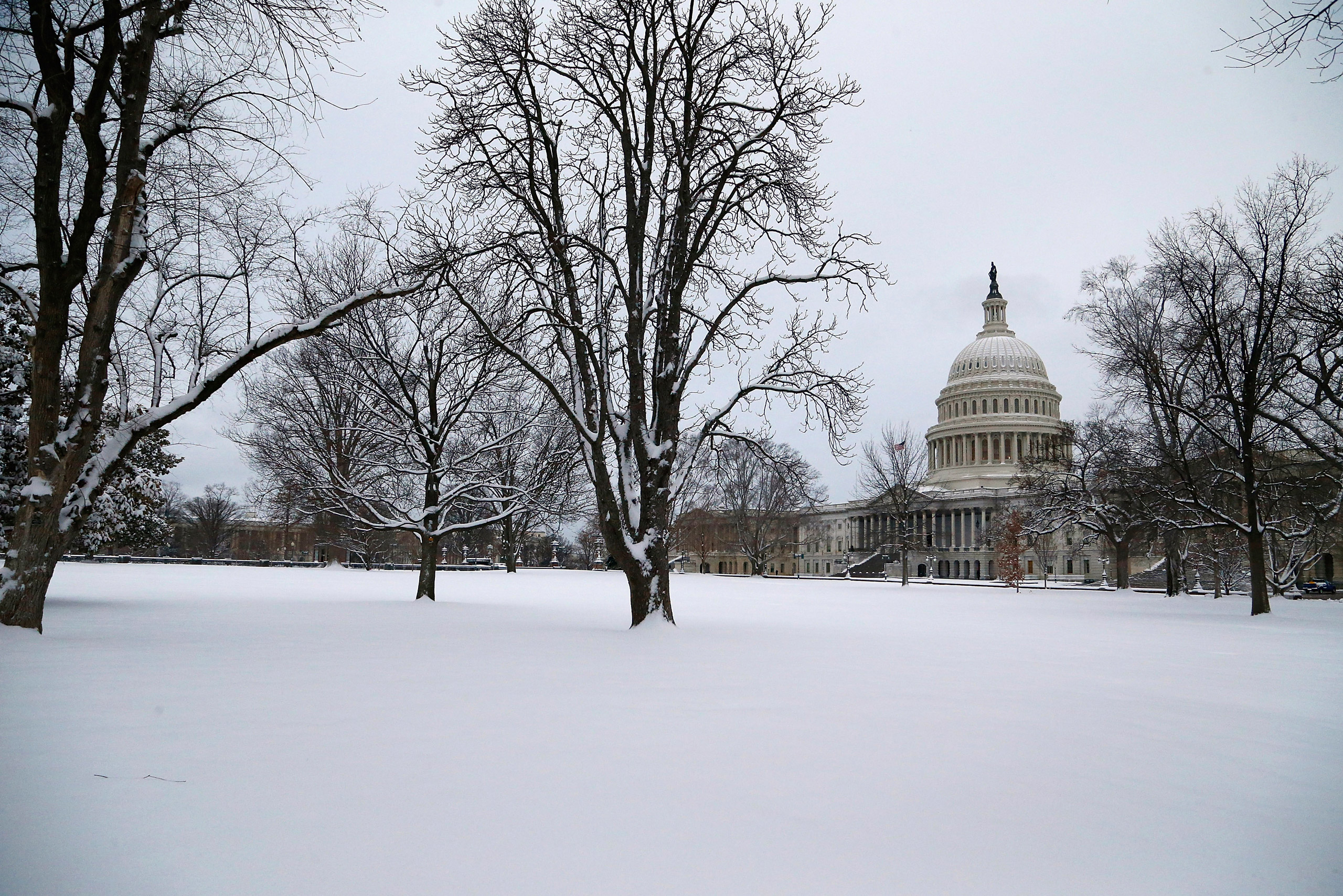 Several inches of fresh snow cover the lawn of the U.S. Capitol in Washington March 17, 2014. (Jonathan Ernst—Reuters)