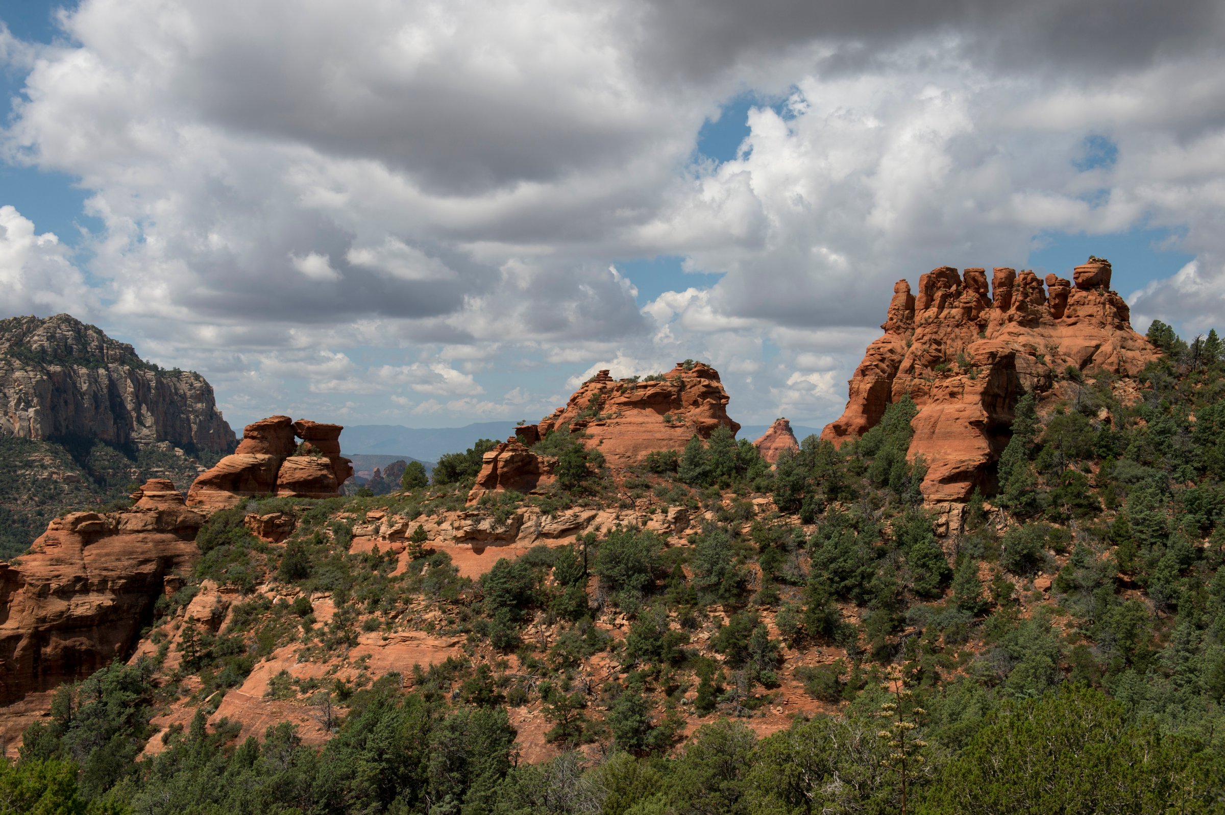 View of the red rock formations from Schnebly Hill Road near Sedona, Arizona, USA.