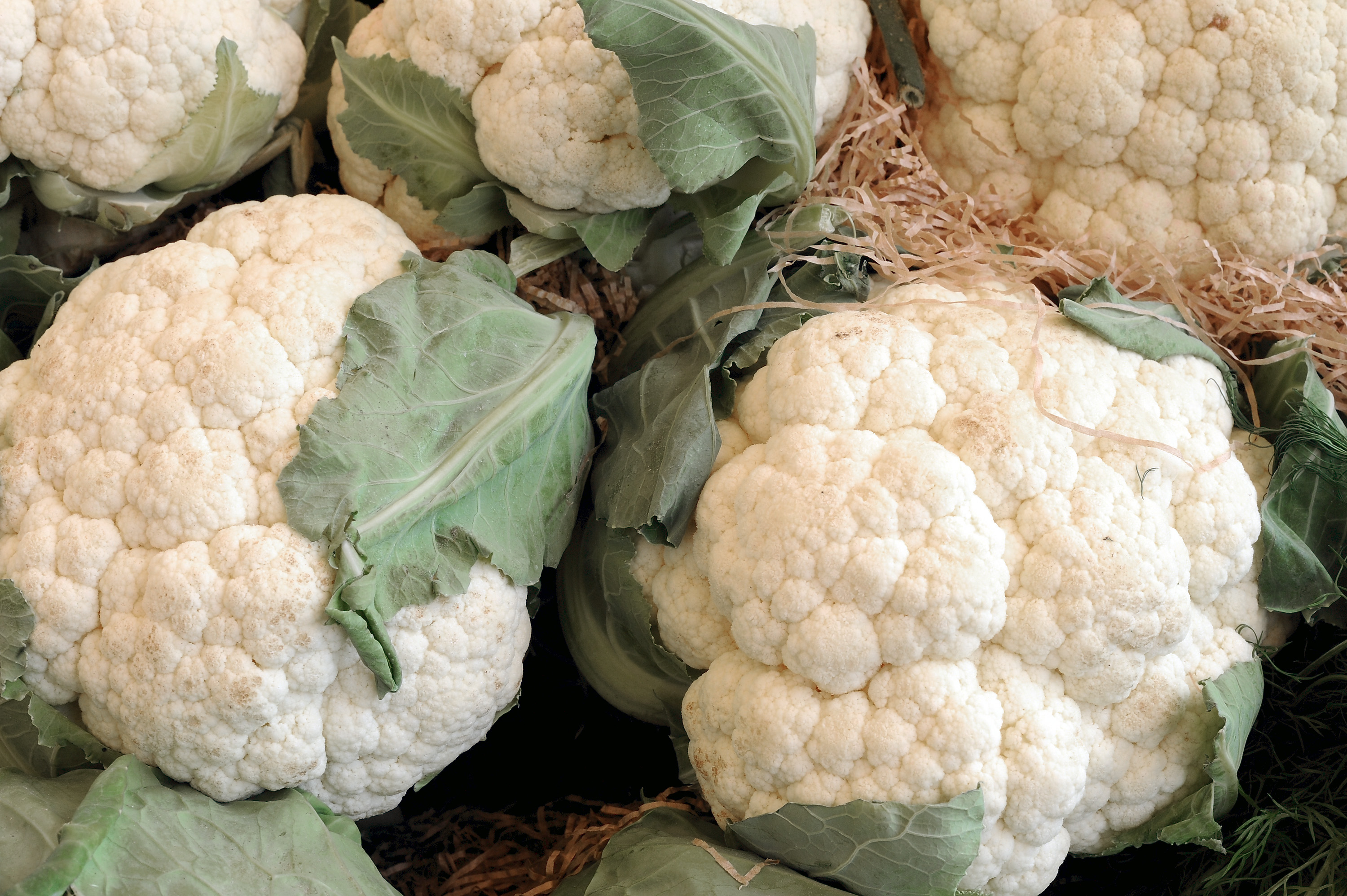Some white cauliflower are displayed during the Expo 2015 at Fiera Milano Rho on May 29, 2015 in Milan, Italy. (Pier Marco Tacca—Getty Images)