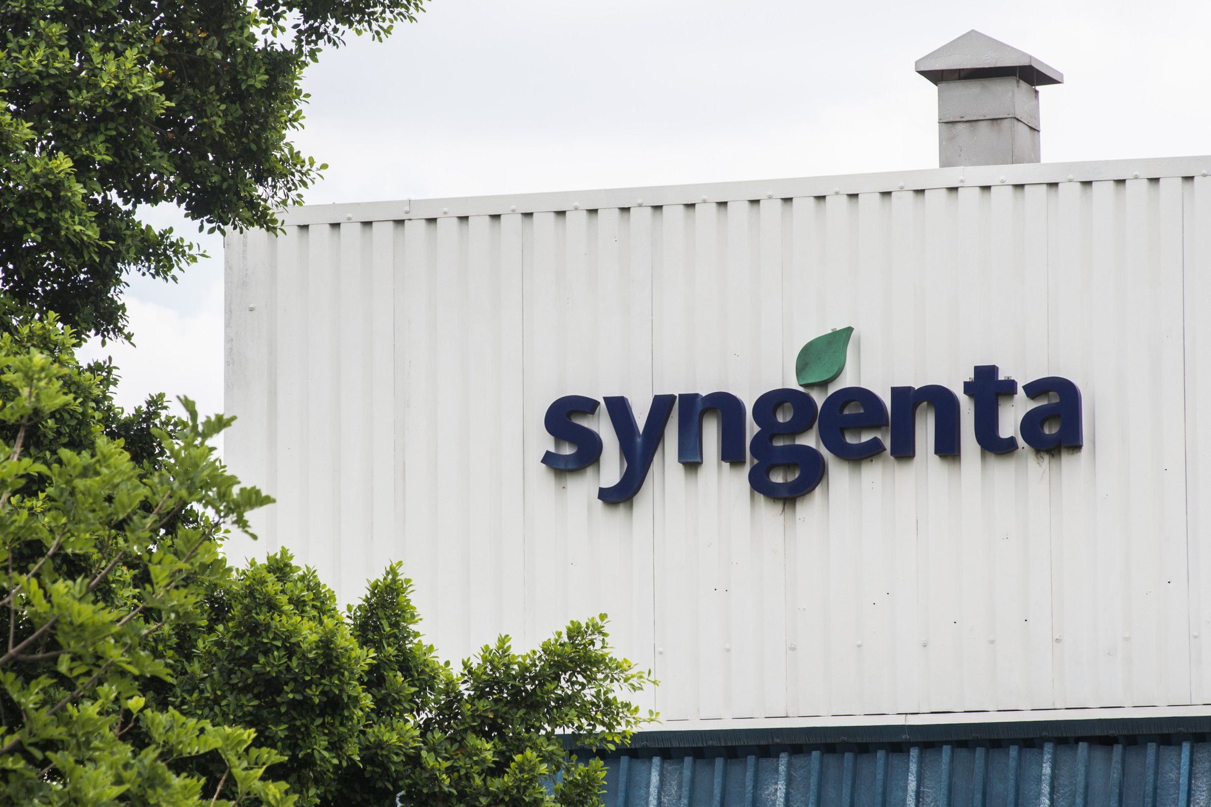A logo sits on display outside the Syngenta AG plant in Brits, South Africa, on Wednesday, Feb. 3, 2016.