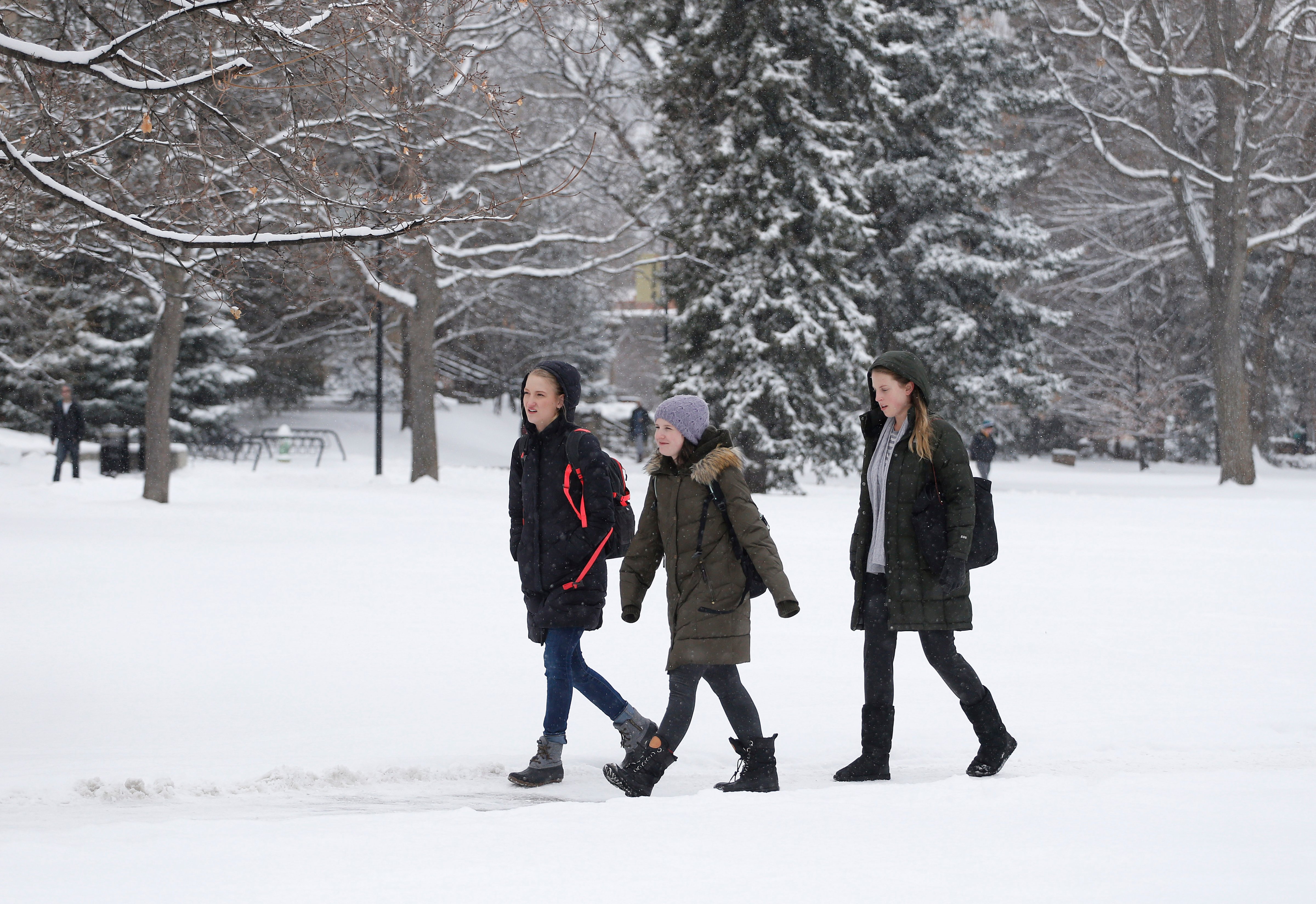Students walk between classes during a fresh snow fall on the campus of the University of Colorado, in Boulder, Colo. on Feb. 1, 2016. (Brennan Linsley—AP)