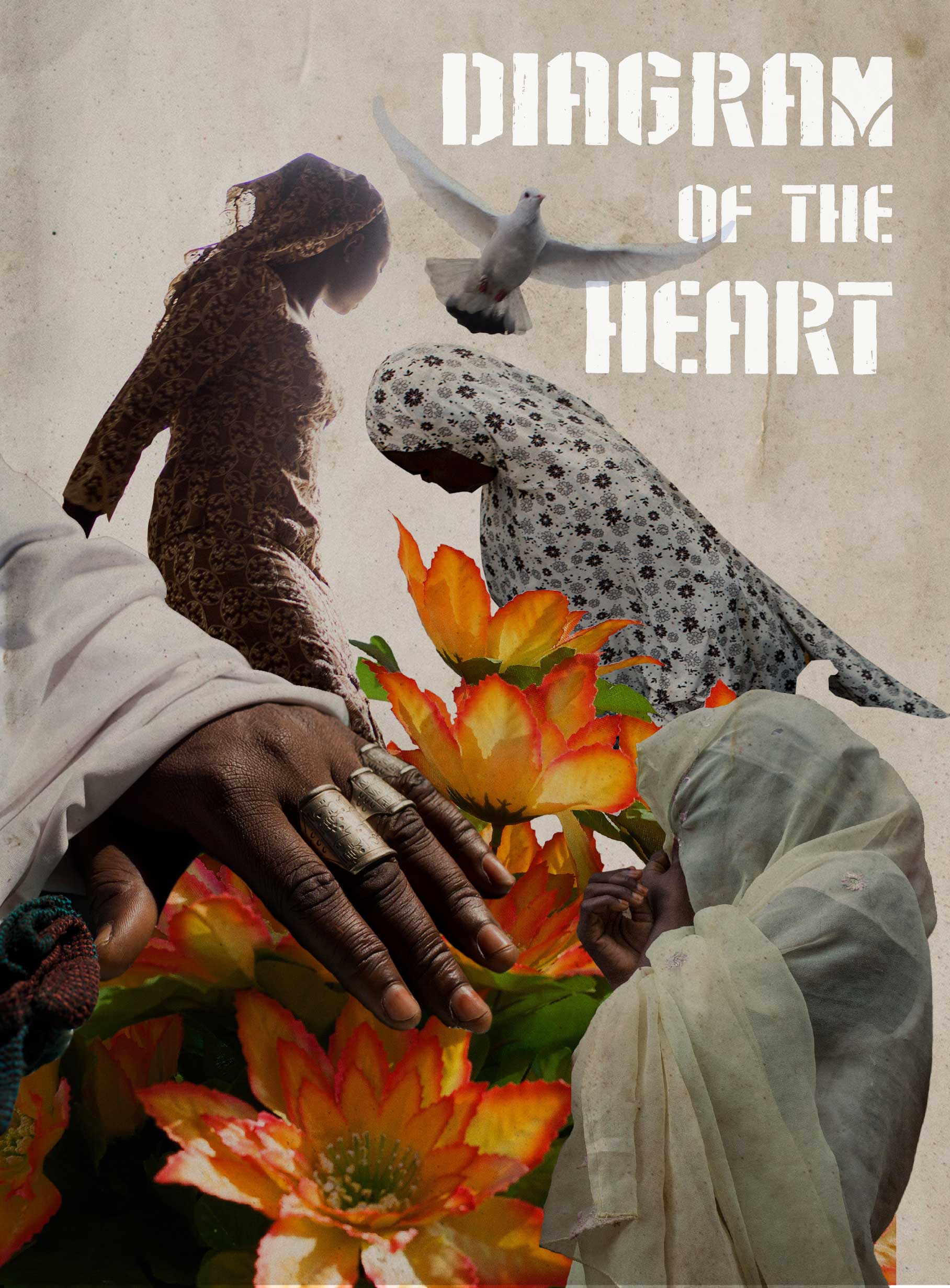 'Diagram of the Heart', by Glenna Gordon, will be released as a photo book on Feb. 11, 2016, published by Red Hook Editions.