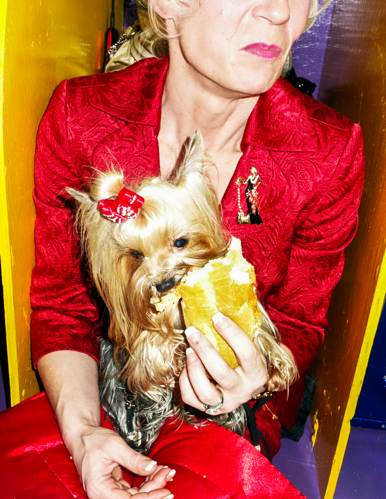 30-Breeder sharing a sandwich with a Yorkshire Terrier, 2014