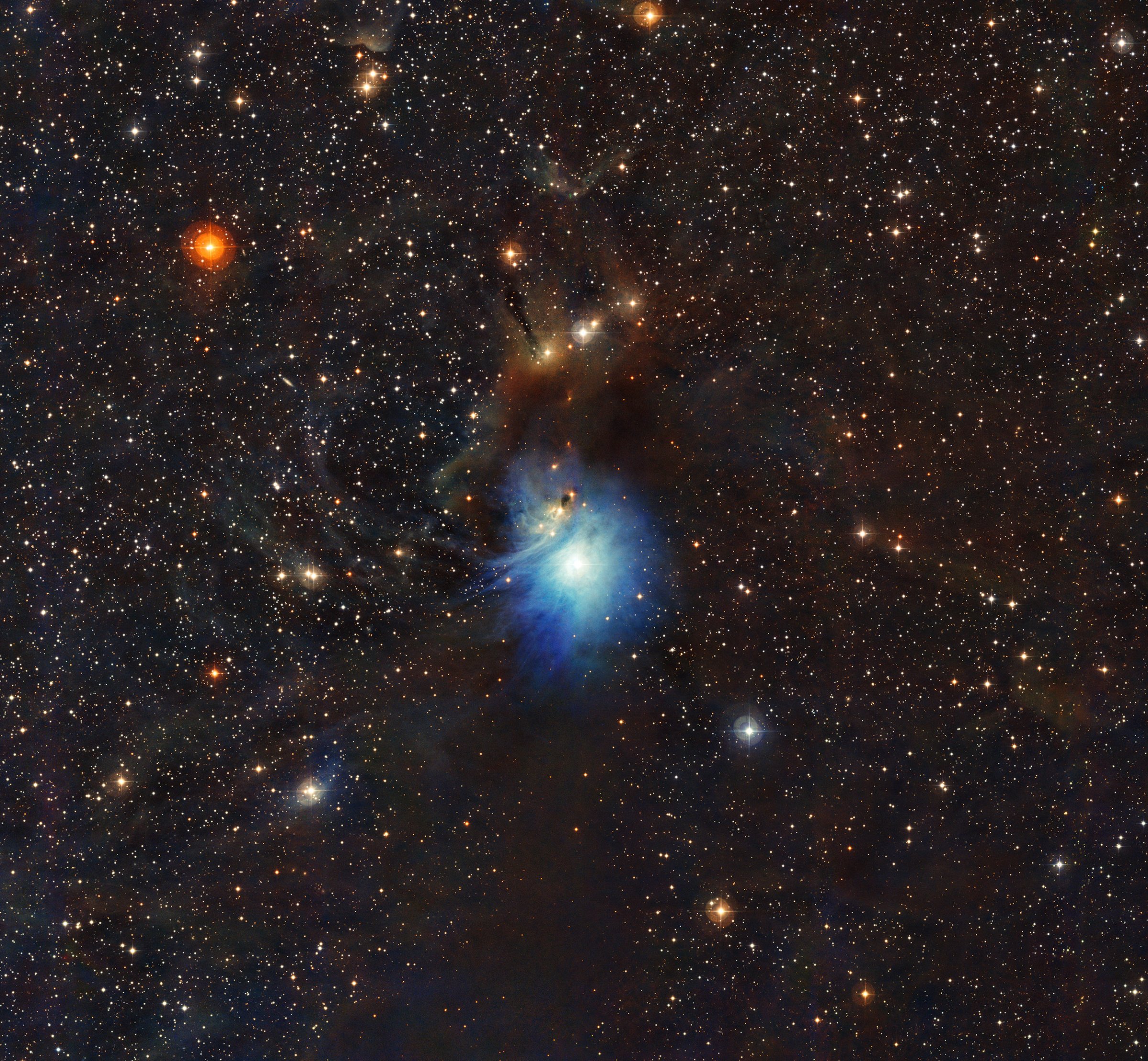 A newly formed star lights up the surrounding cosmic clouds in this image from ESO’s La Silla Observatory in Chile. Dust particles in the vast clouds that surround the star HD 97300 diffuse its light, like a car headlight in enveloping fog, and create the reflection nebula IC 2631.