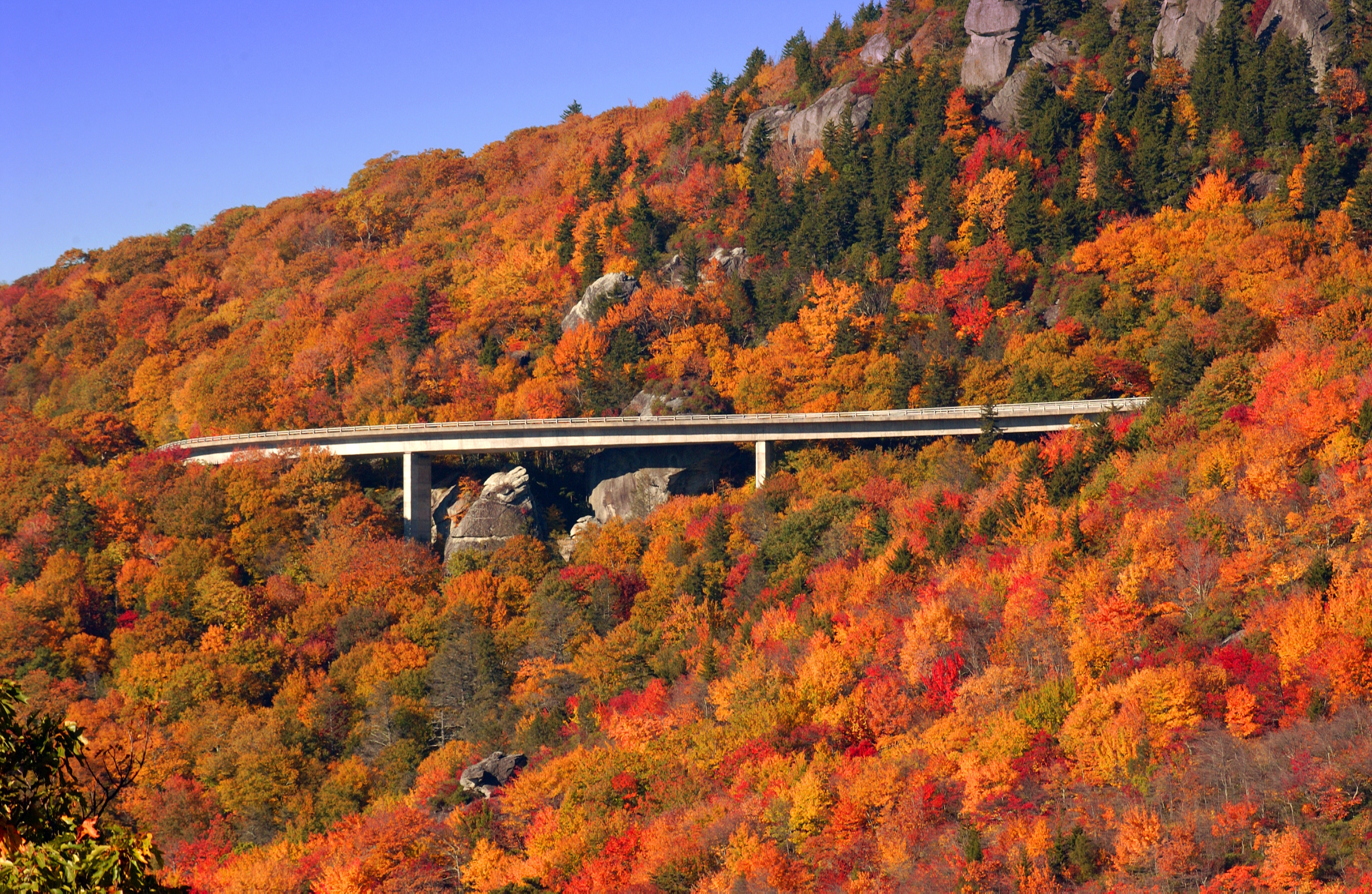 The Linn Cove Viaduct crosses fall foliage on the Blue Ridge Parkway in North Carollina. (Chicago Tribune—MCT via Getty Images)