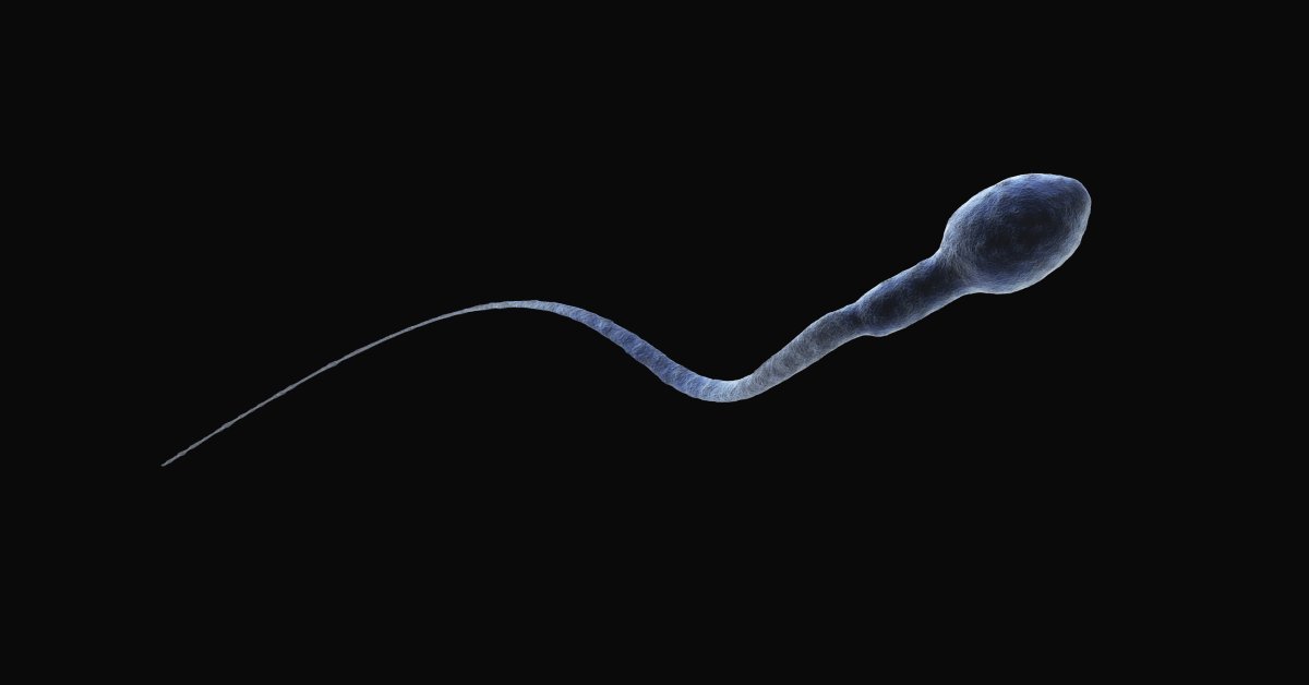 Free sperm cell footage