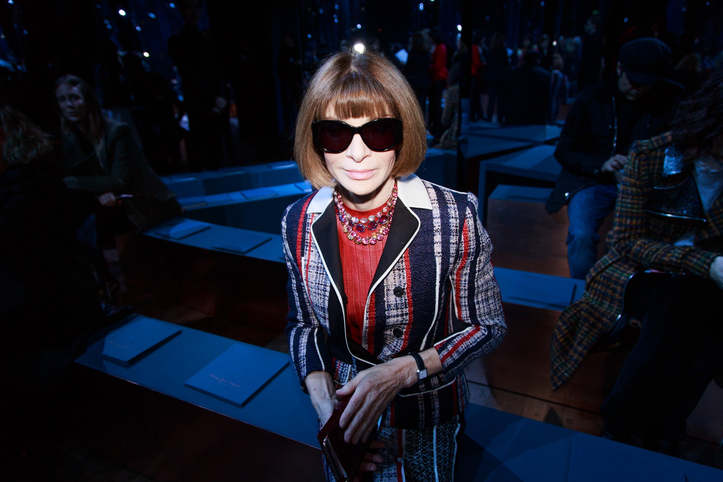 Anna Wintour attends the Christian Dior Haute Couture Spring Summer 2016 show as part of Paris Fashion Week on January 25, 2016 in Paris, France.