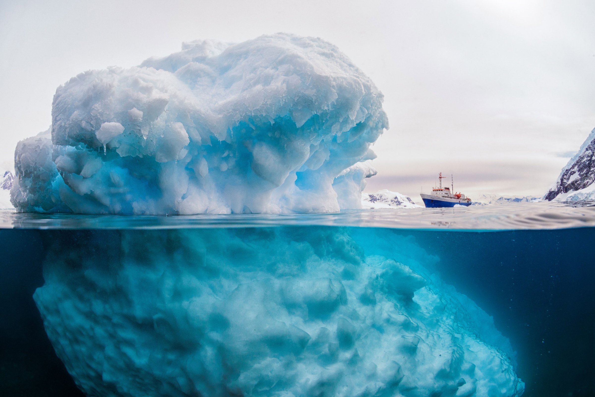 An iceberg appears to dwarf a 3,000 tonne ship in the Antarctic Peninsula in Feb. 2016.