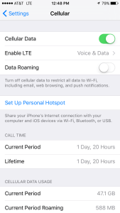 Location of data roaming option in iPhone
