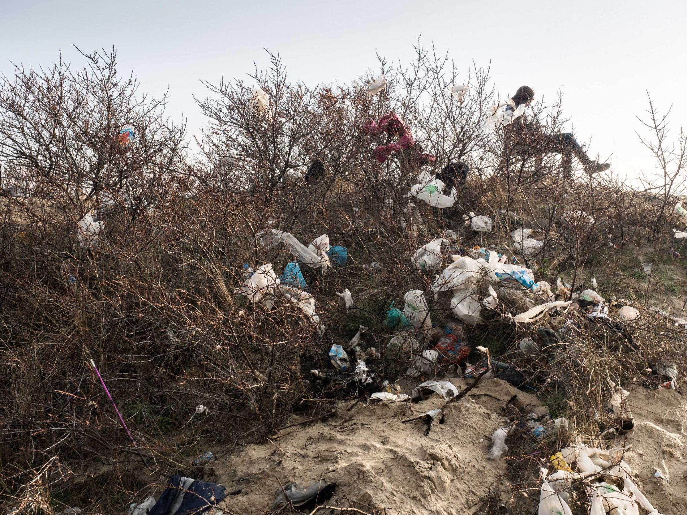 Trash collects on trees in the "jungle" of Calais, France, Jan. 20, 2016.