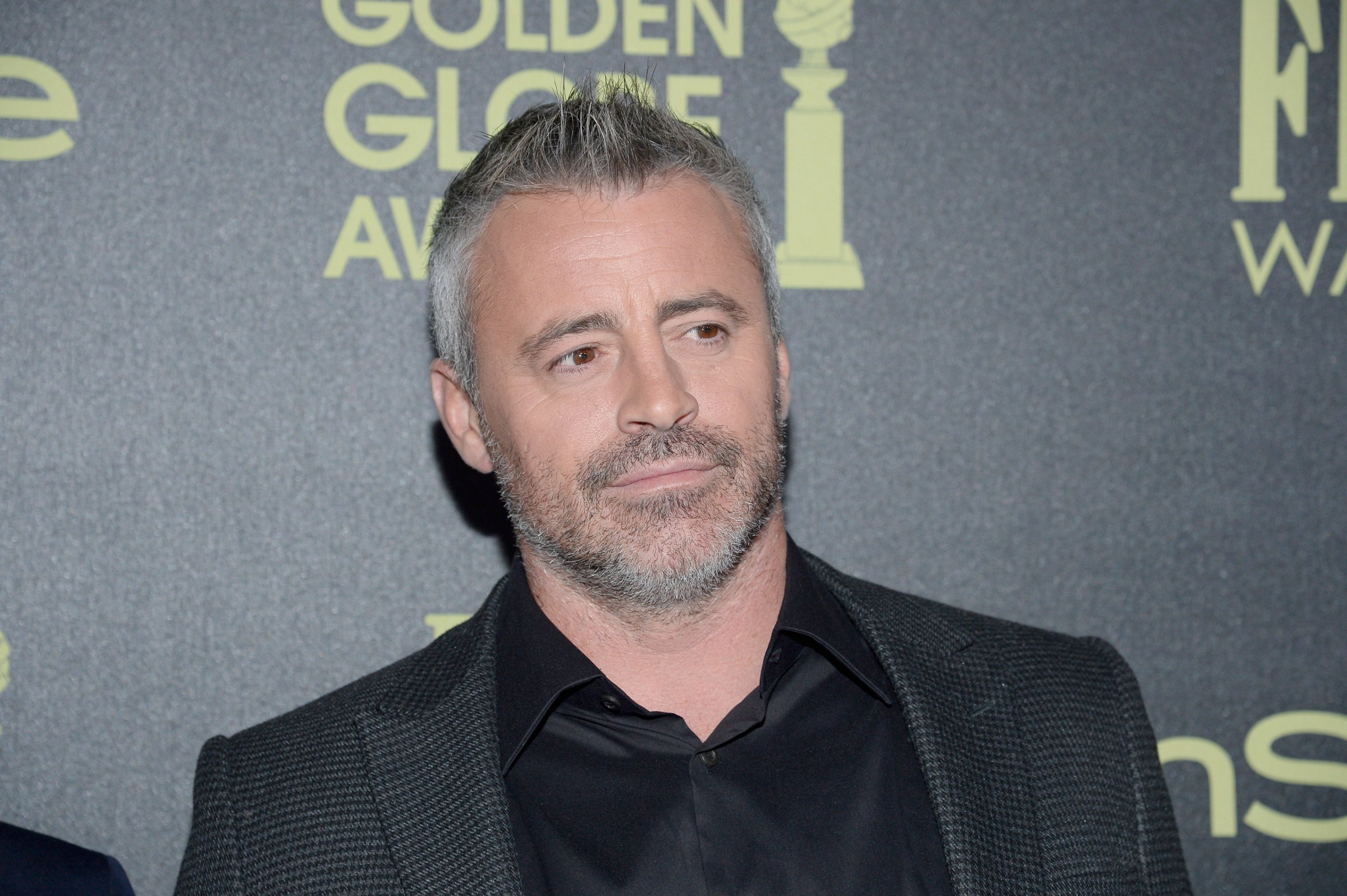 WEST HOLLYWOOD, CA - NOVEMBER 17: Actor Matt LeBlanc attends Hollywood Foreign Press Association and InStyle Celebration of The 2016 Golden Globe Award Season at Ysabel on November 17, 2015 in West Hollywood, California. (Photo by Kevork Djansezian/Getty Images)