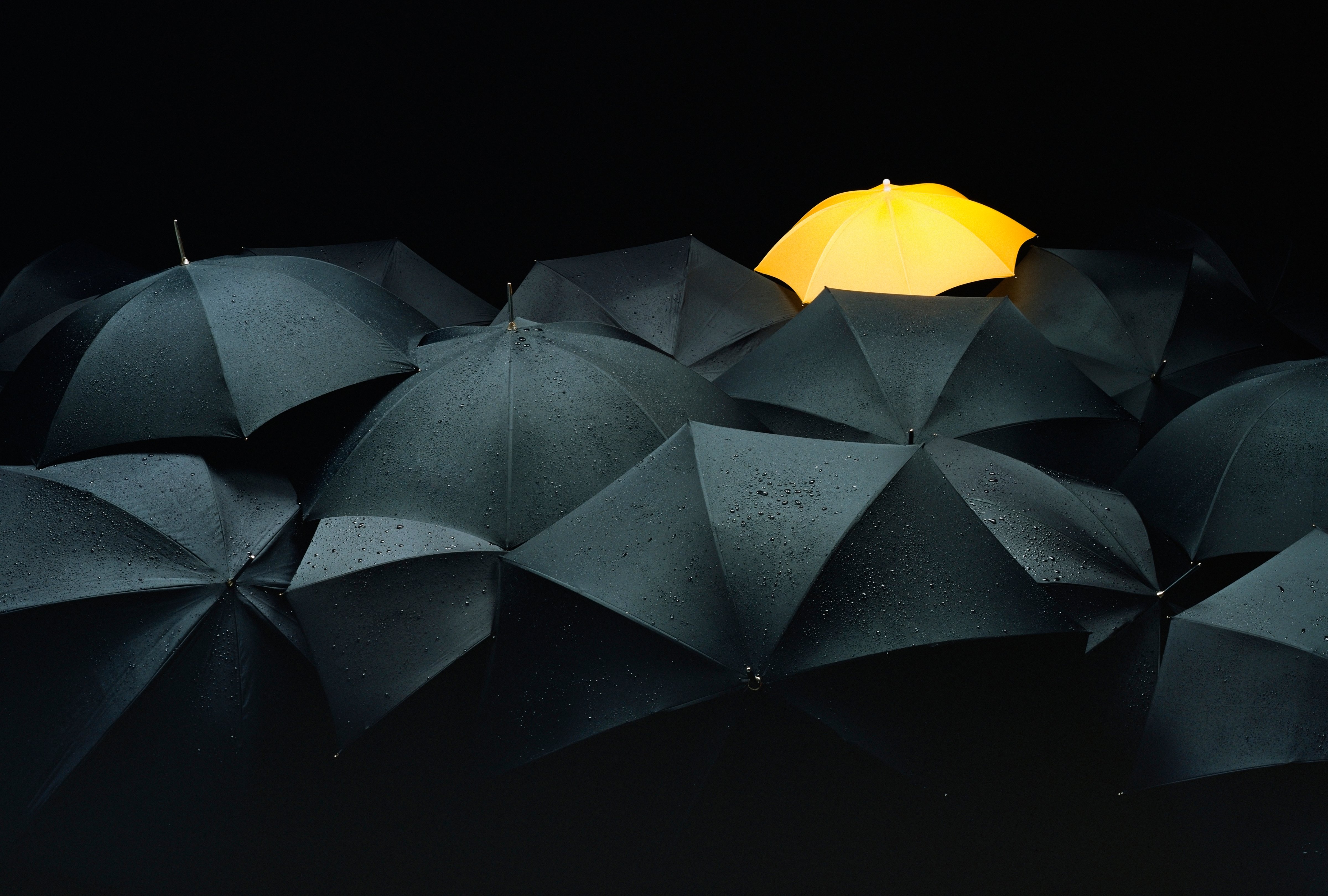One yellow umbrella among many black umbrellas. (Southern Stock—Getty Images)