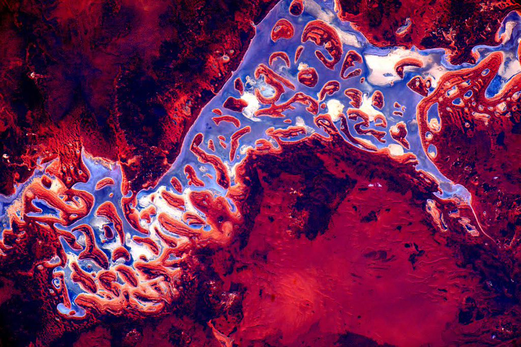 #ColorsofEarth Red and purple Terra Australis. #YearInSpace —via Twitter on Feb. 16, 2016.