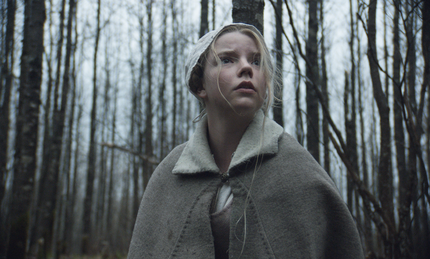 Anya Taylor-Joy in The Witch.