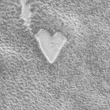 NASA's Mars Global Surveyor spacecraft has captured a lovely view of a bright, heart-shaped mesa in the south polar region of the red planet. The heart-shaped feature is about 837 feet across. According to Mars Global Surveyor scientists, the presence of this mesa indicates that the darker, rough terrain that surrounds it was once covered by a layer of the bright material.