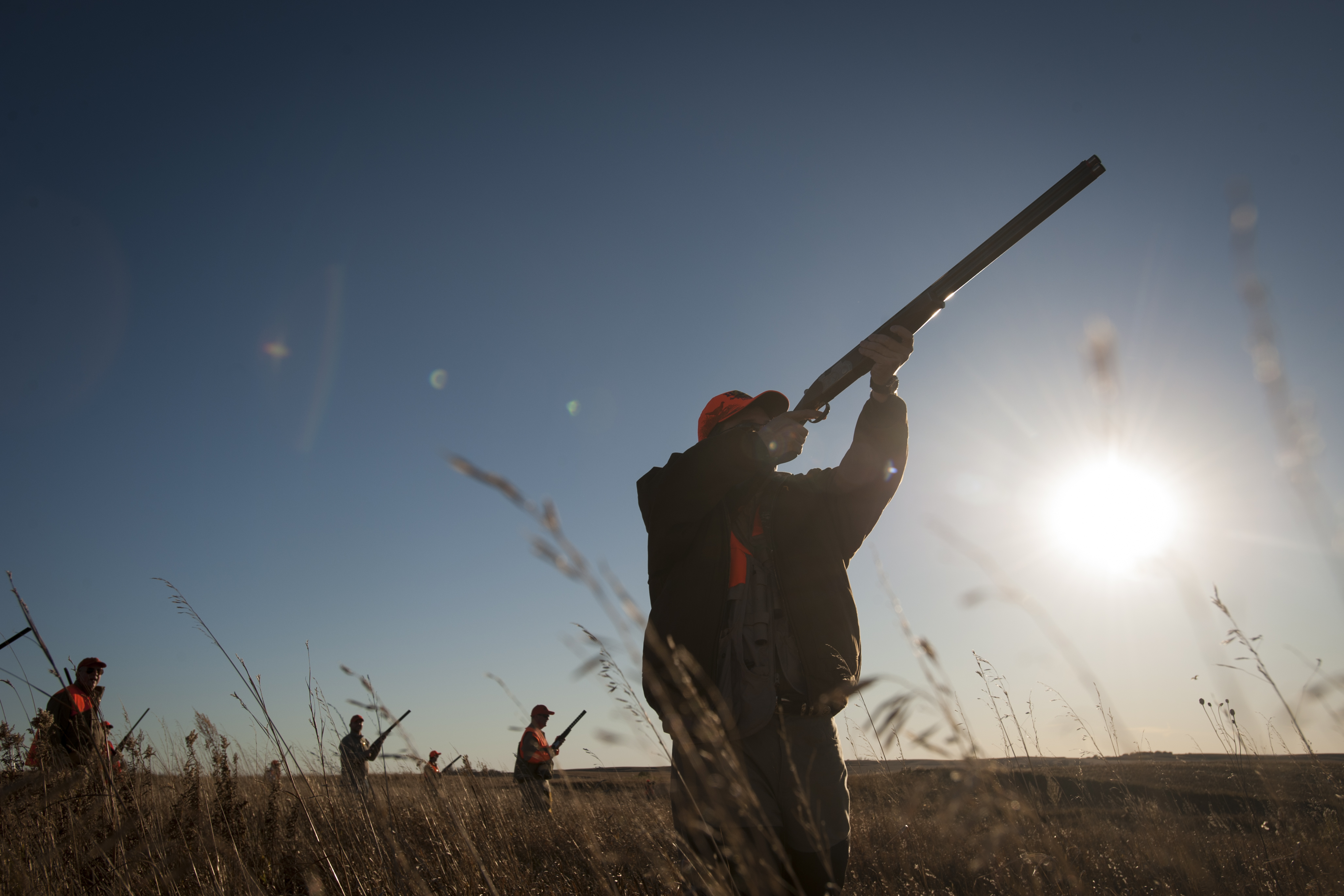 Republican presidential candidate, Texas Sen. Ted Cruz fires his shotgun at a pheasant during the Col. Bud Day Pheasant Hunt hosted by Congressman Steve King outside of Akron, Iowa on Oct. 31, 2015.