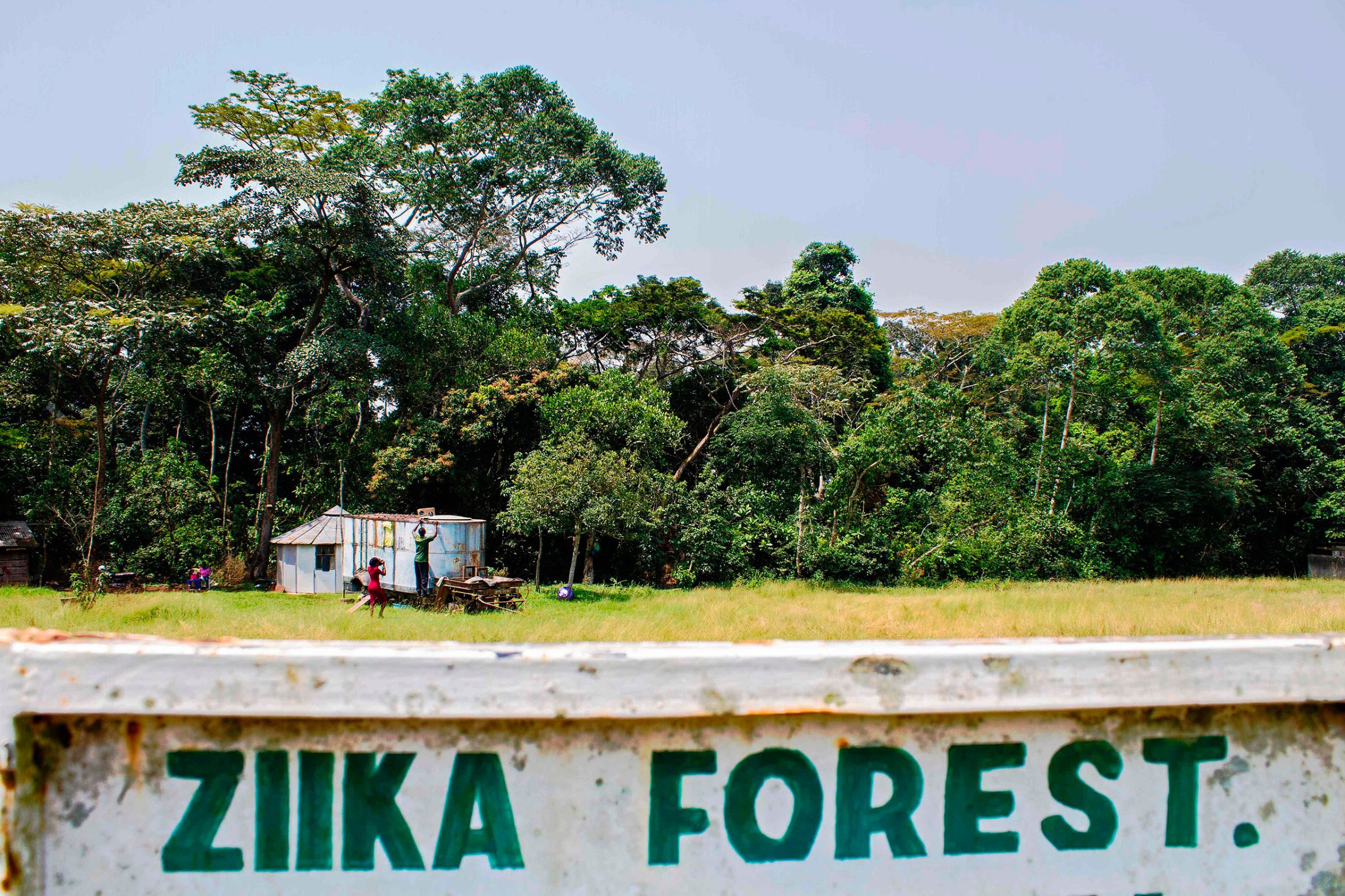 A sign post leading to the Ziika forest is seen near Entebbe, Uganda, Jan. 29, 2016. The Zika virus was first discovered here by scientists in April 1947 after testing a macaque monkey.