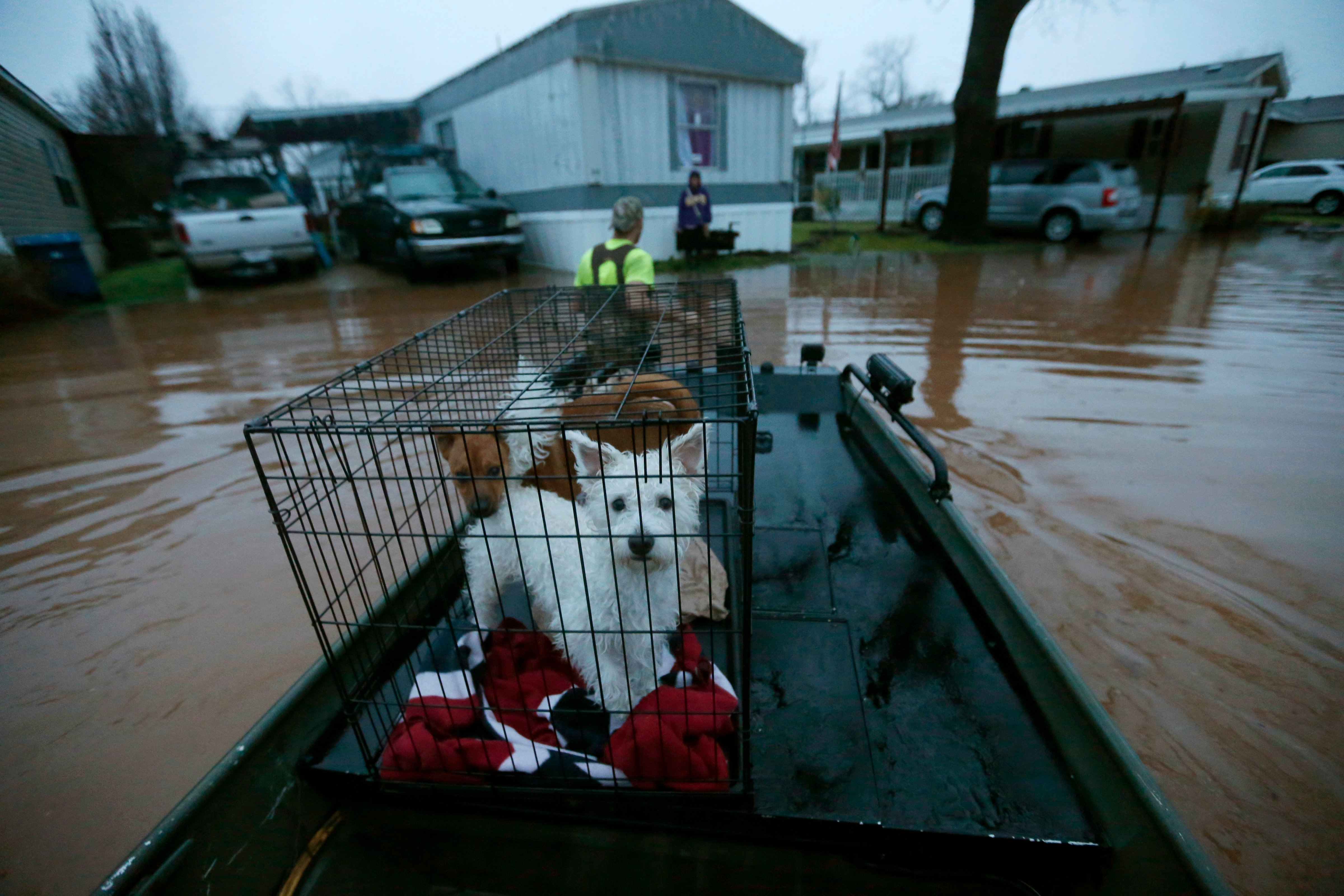 Sam Breen helps his friend retrieve his dogs Edison and Allie from his home, as floodwater rises at the Pecan Valley Estates trailer park in Bossier City, La., March 9, 2016 (Gerald Herbert—AP)