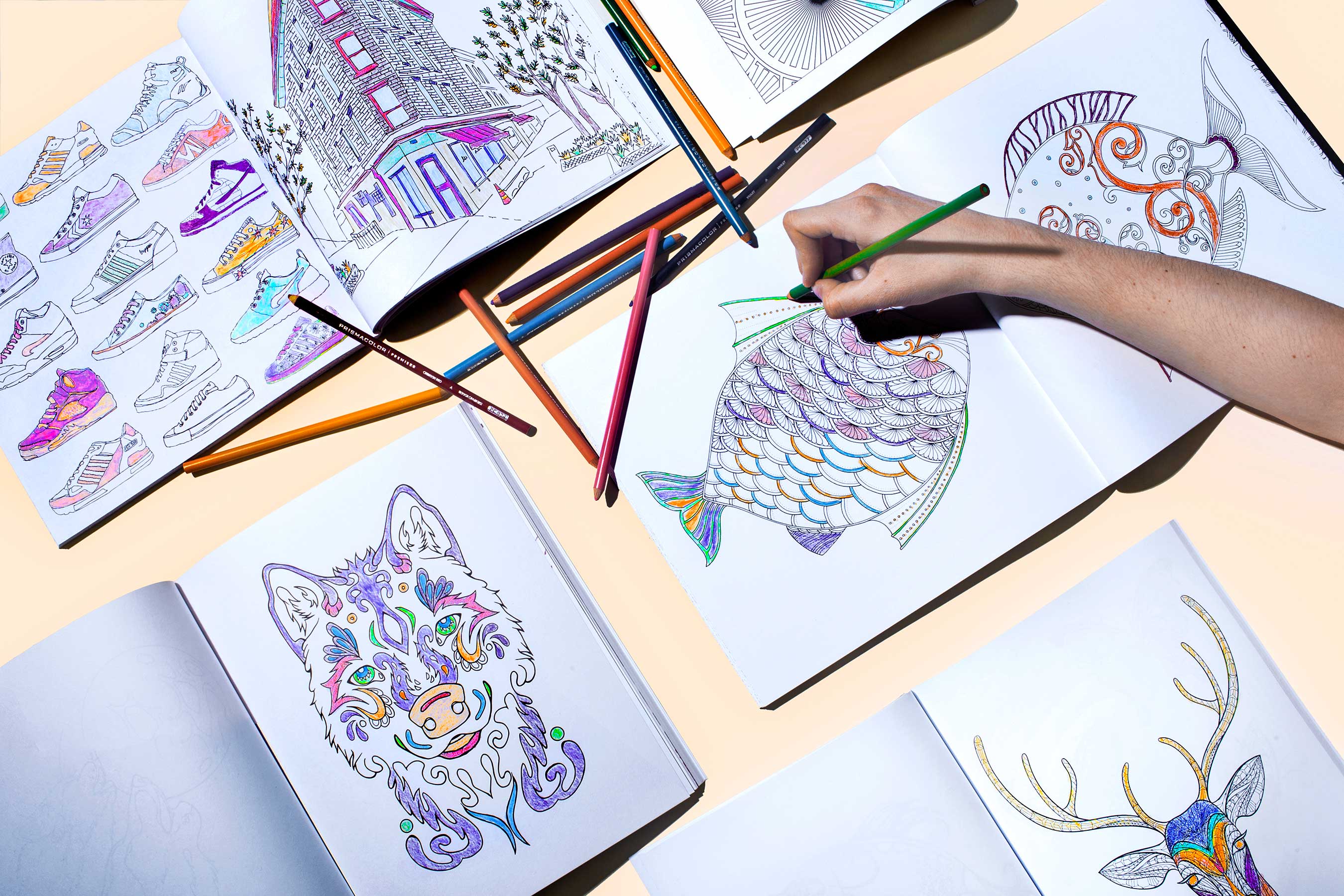 How Coloring Books for Adults Came Into Fashion   Time