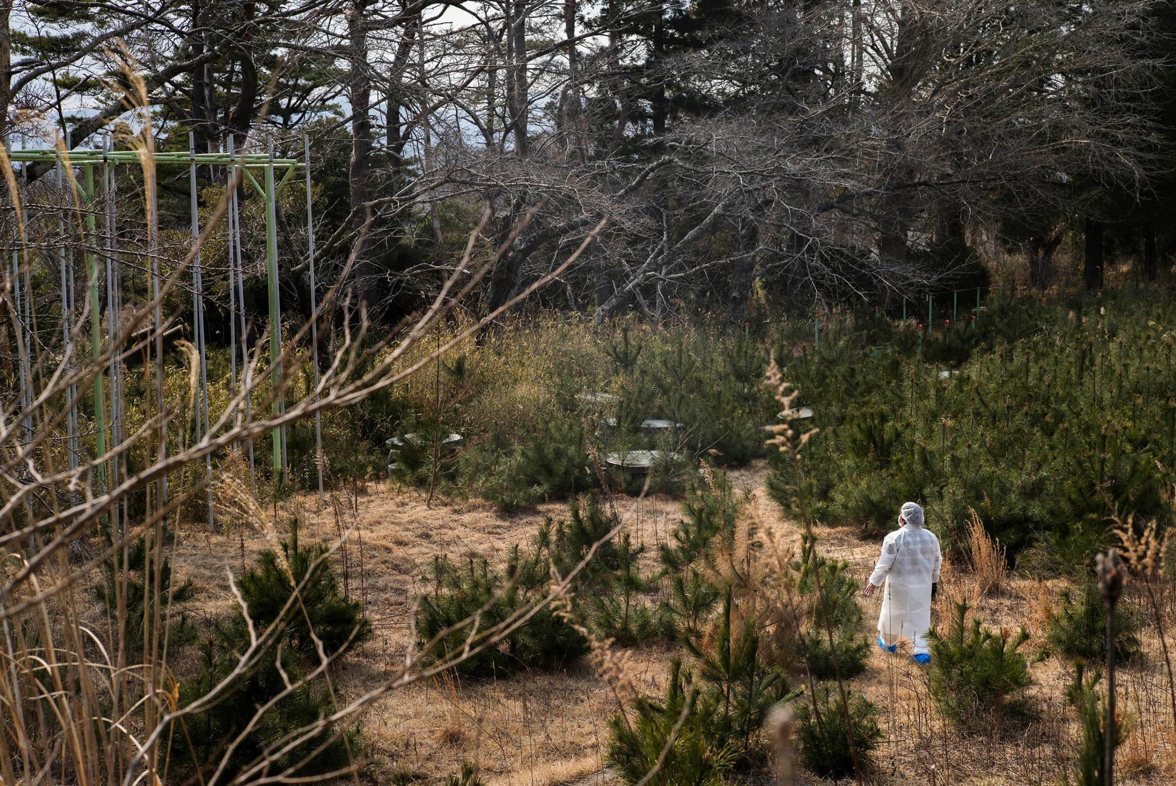 Terumi Murakami, a 43-year-old mother of three children and an evacuee from Okuma, about 5km from Fukushima Daiichi nuclear power plant, walks through her children's highly contaminated and abandoned Kumano Elementary School grounds in Okuma, Japan, March 4, 2016. The school lies within the 5km exclusion zone around the crippled nuclear power plant.